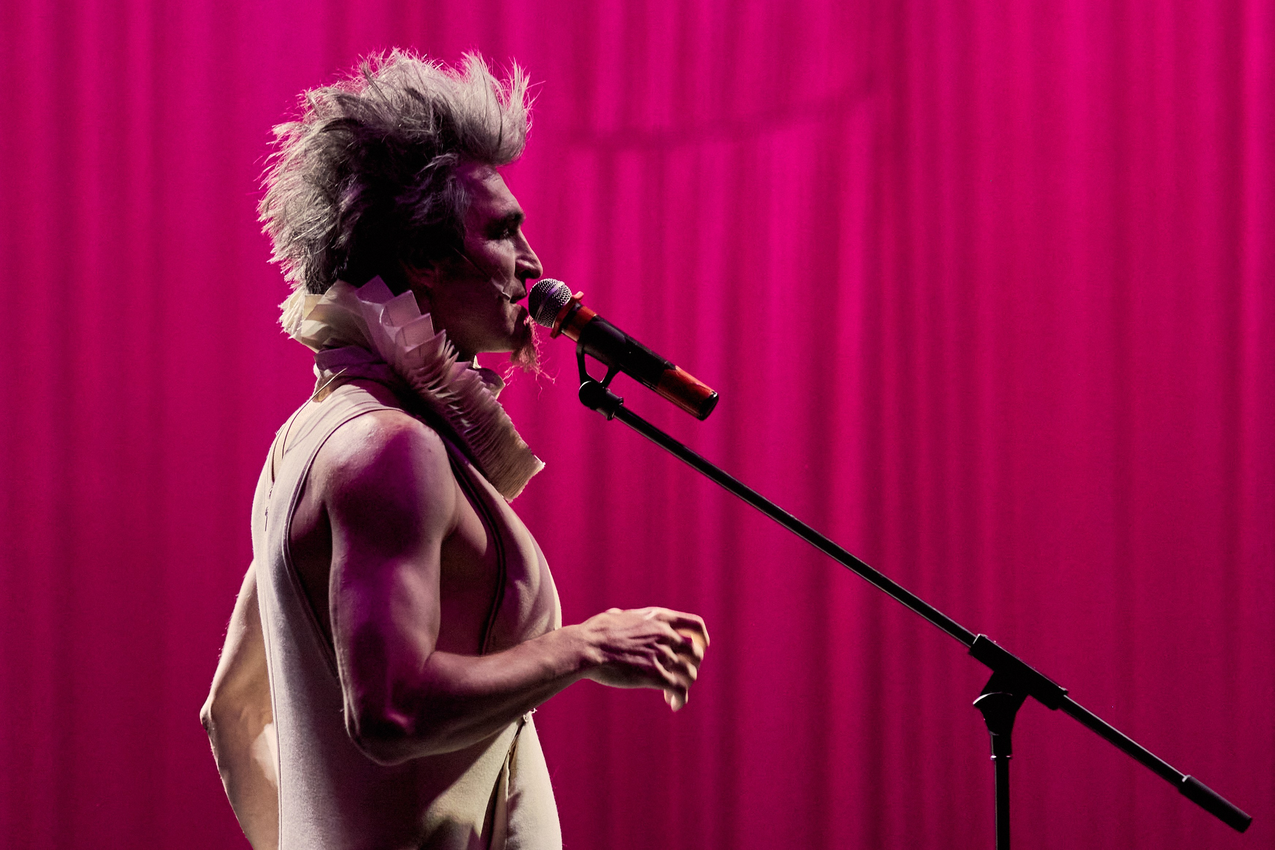 Чайка. Фотограф Юлия Маринина