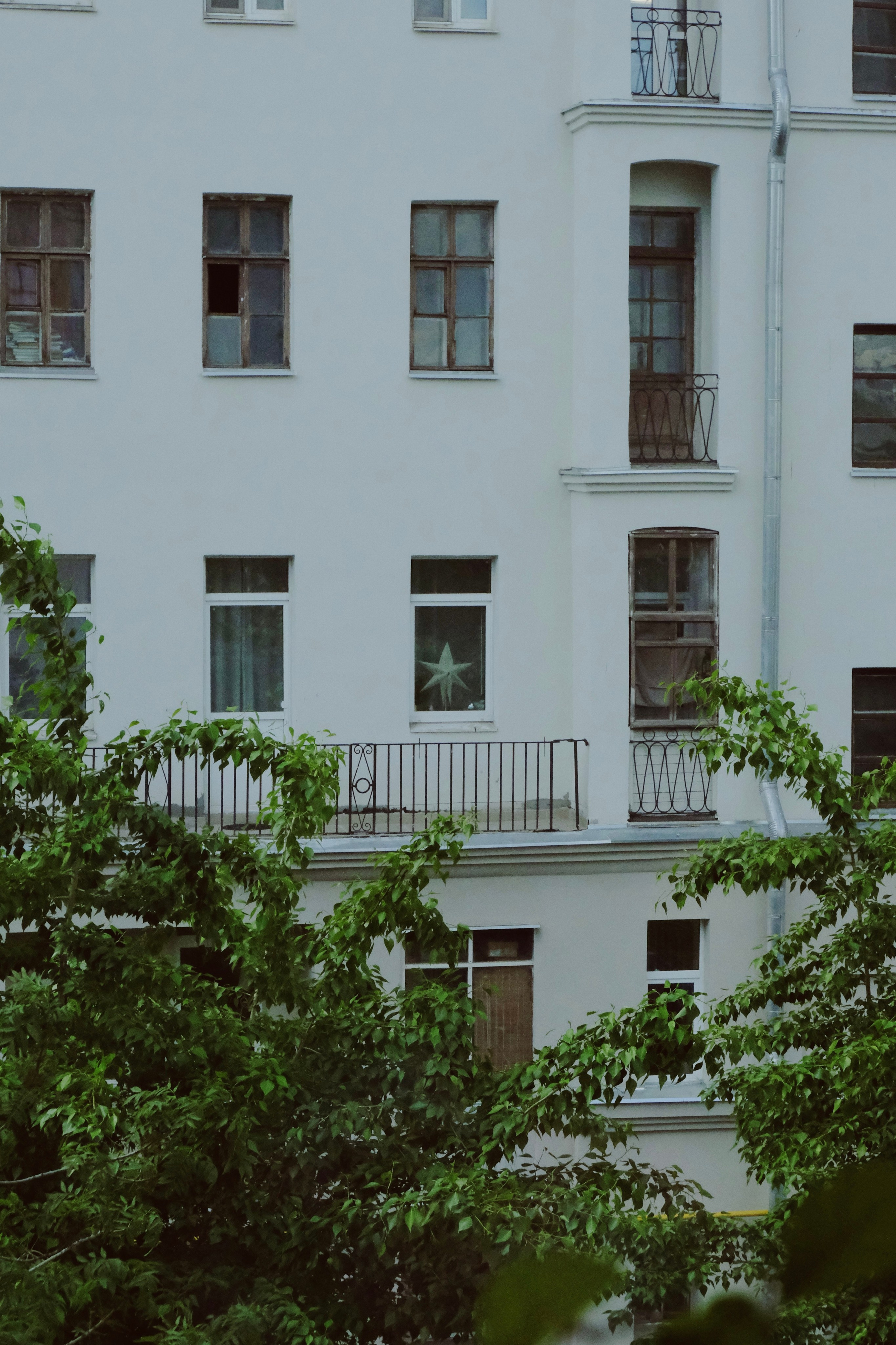 Проект «улыбка радости». Татьян гертье