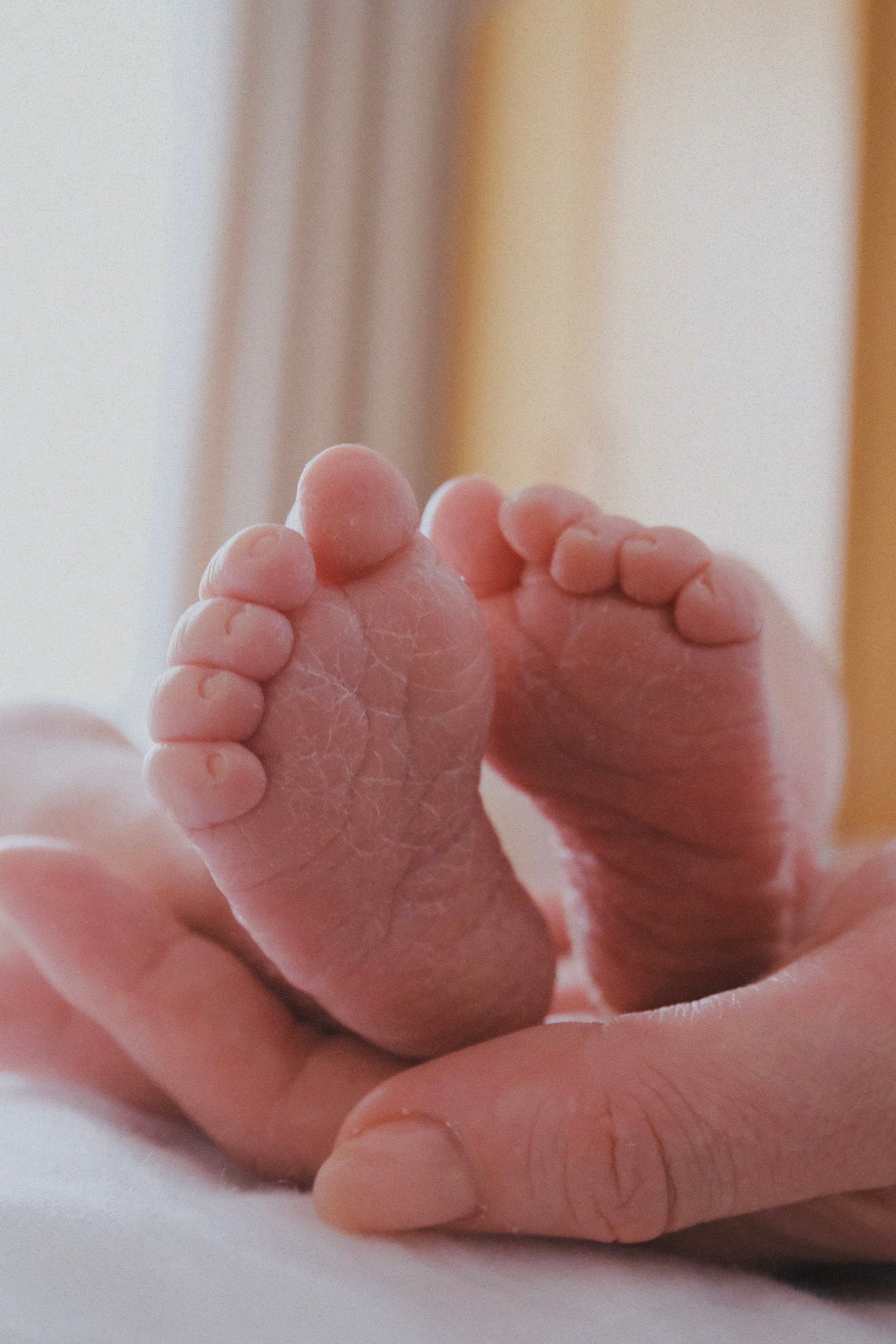 Kid. Татьян гертье