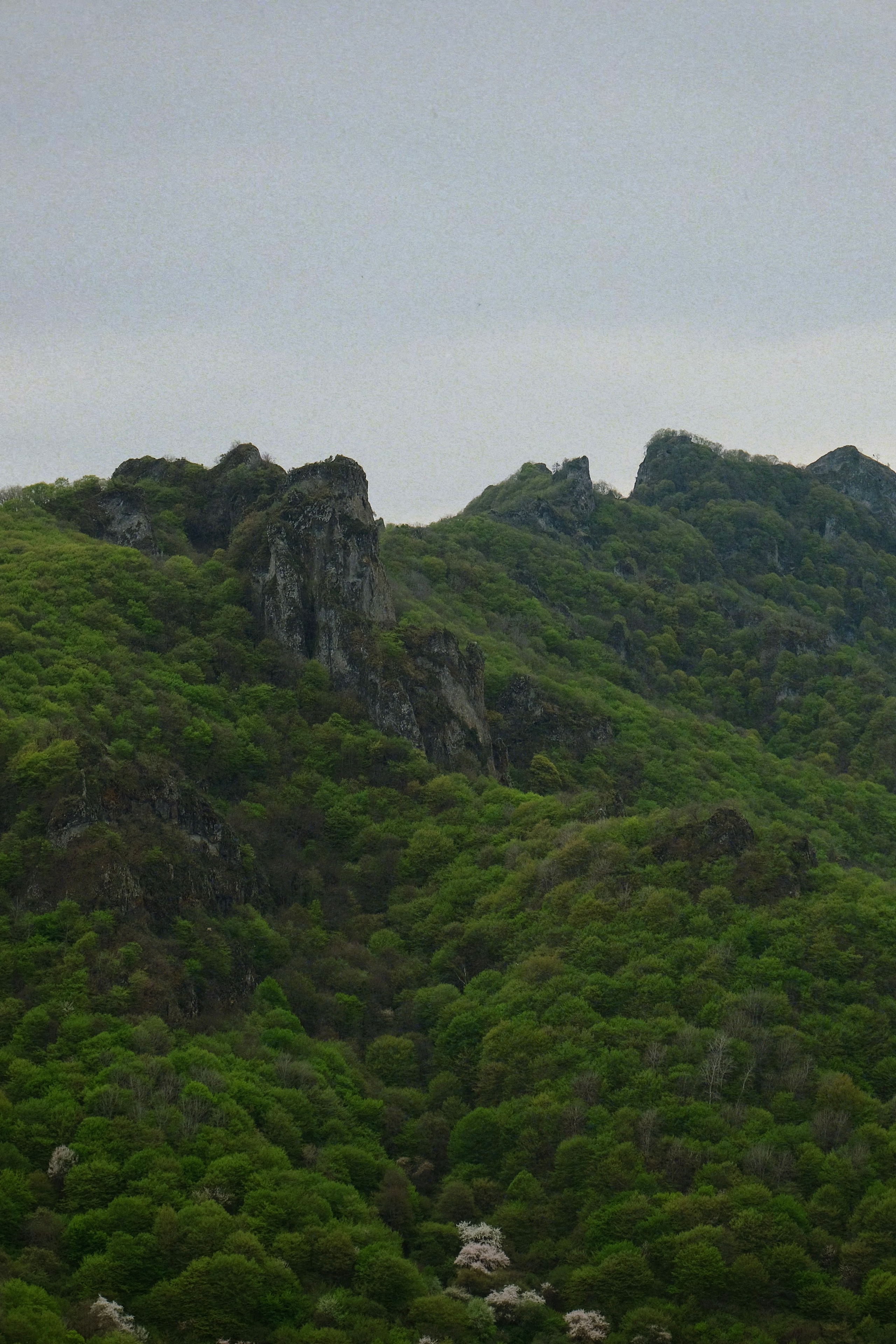 Кисловодск. Татьян гертье