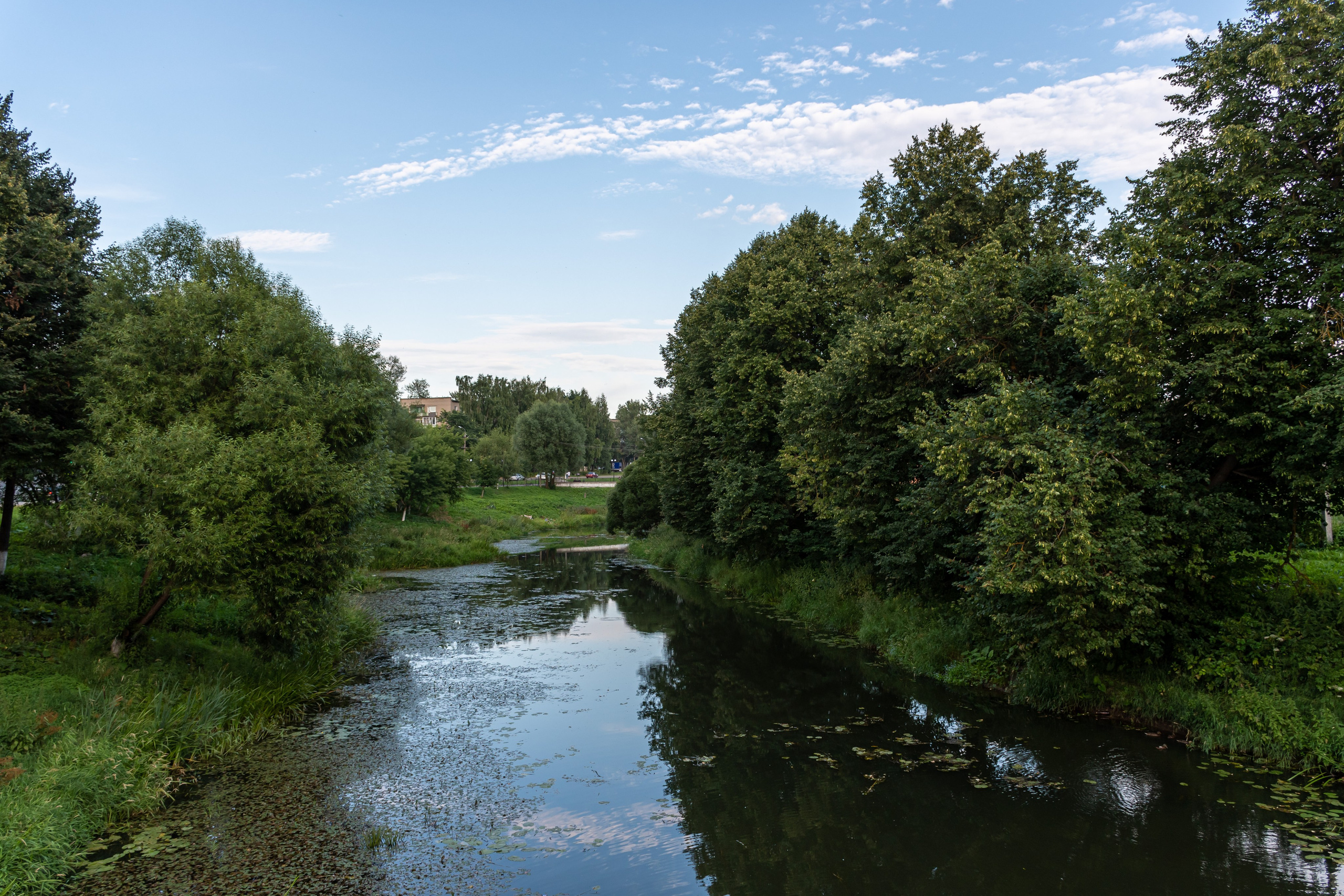 20220802 Вязьма. Дмитрий Ремизов. Фотография, как хобби
