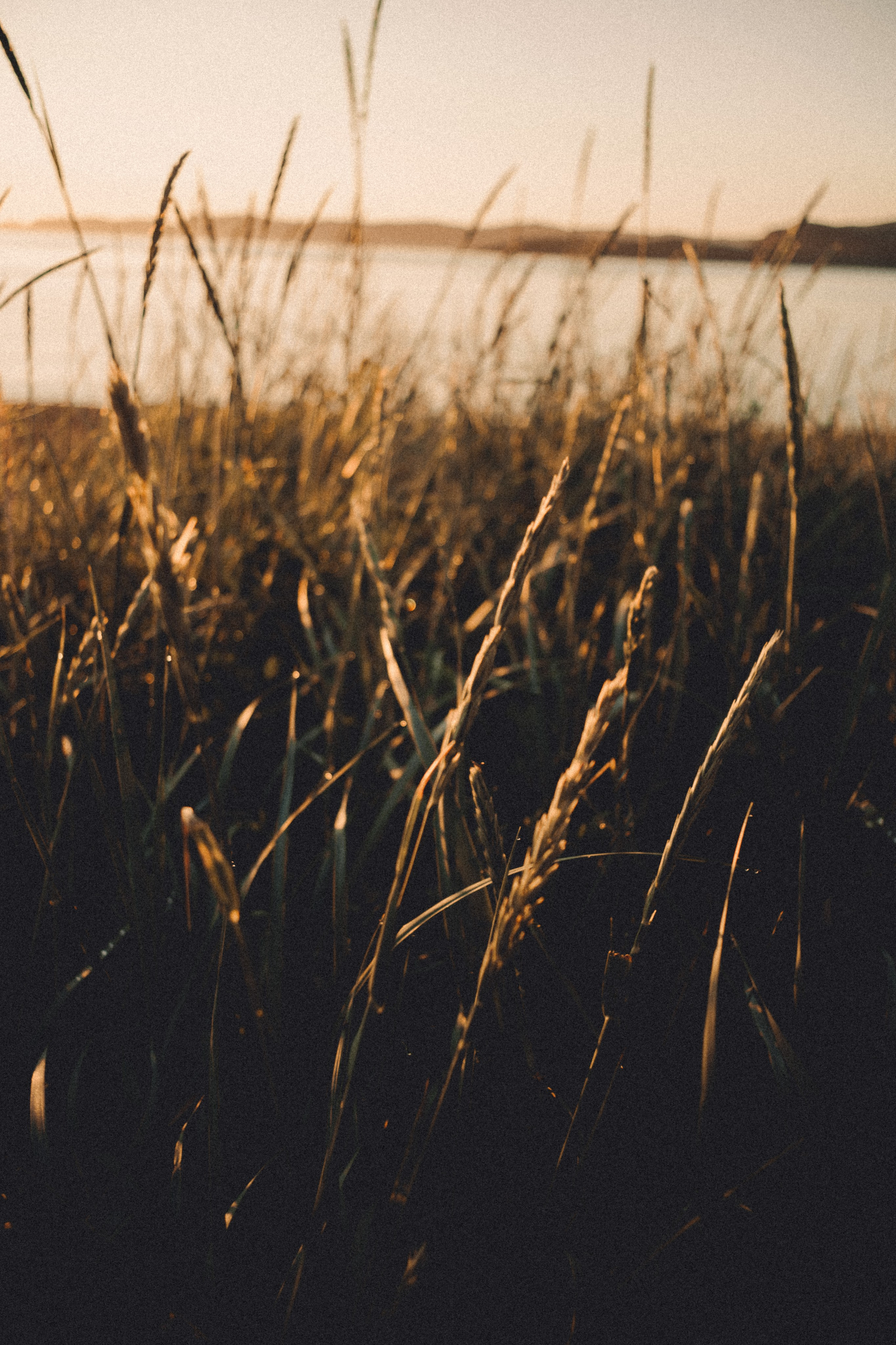 Териберка, Мурманск. Фотосъёмка для компании по организации туров в коллаборации с Яндекс 360