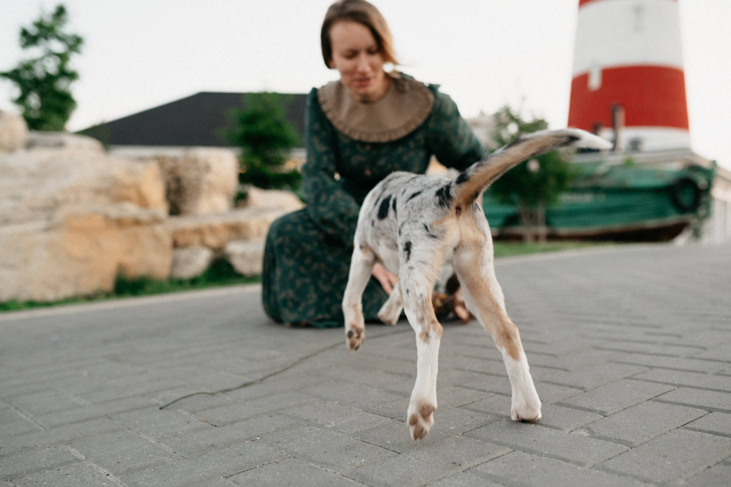 Таня и её пушистые друзья. Фотограф анималист в Москве Ольга Агушева