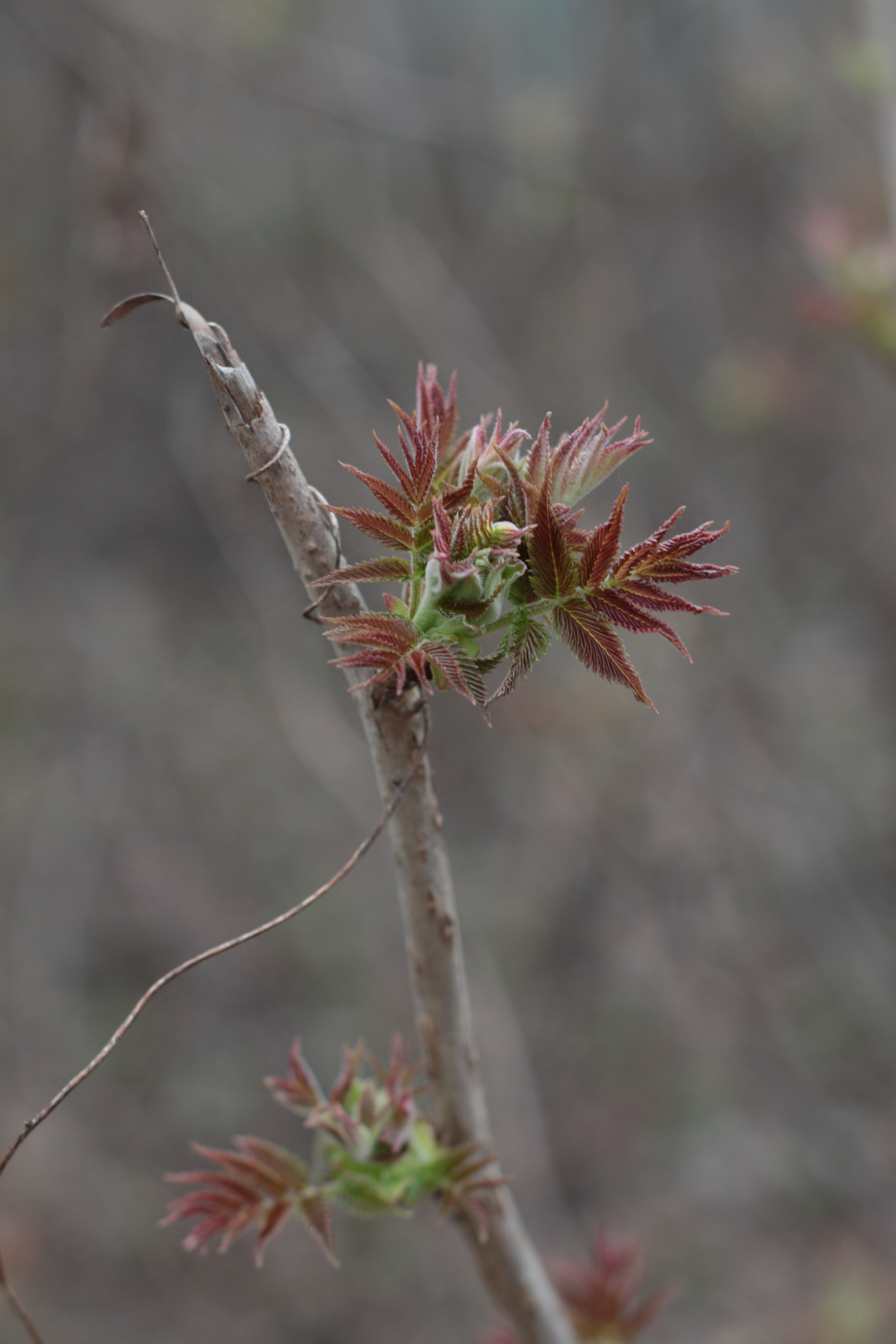 Старое природное, отбирала Katamount (Катерина Горохова). Главная
