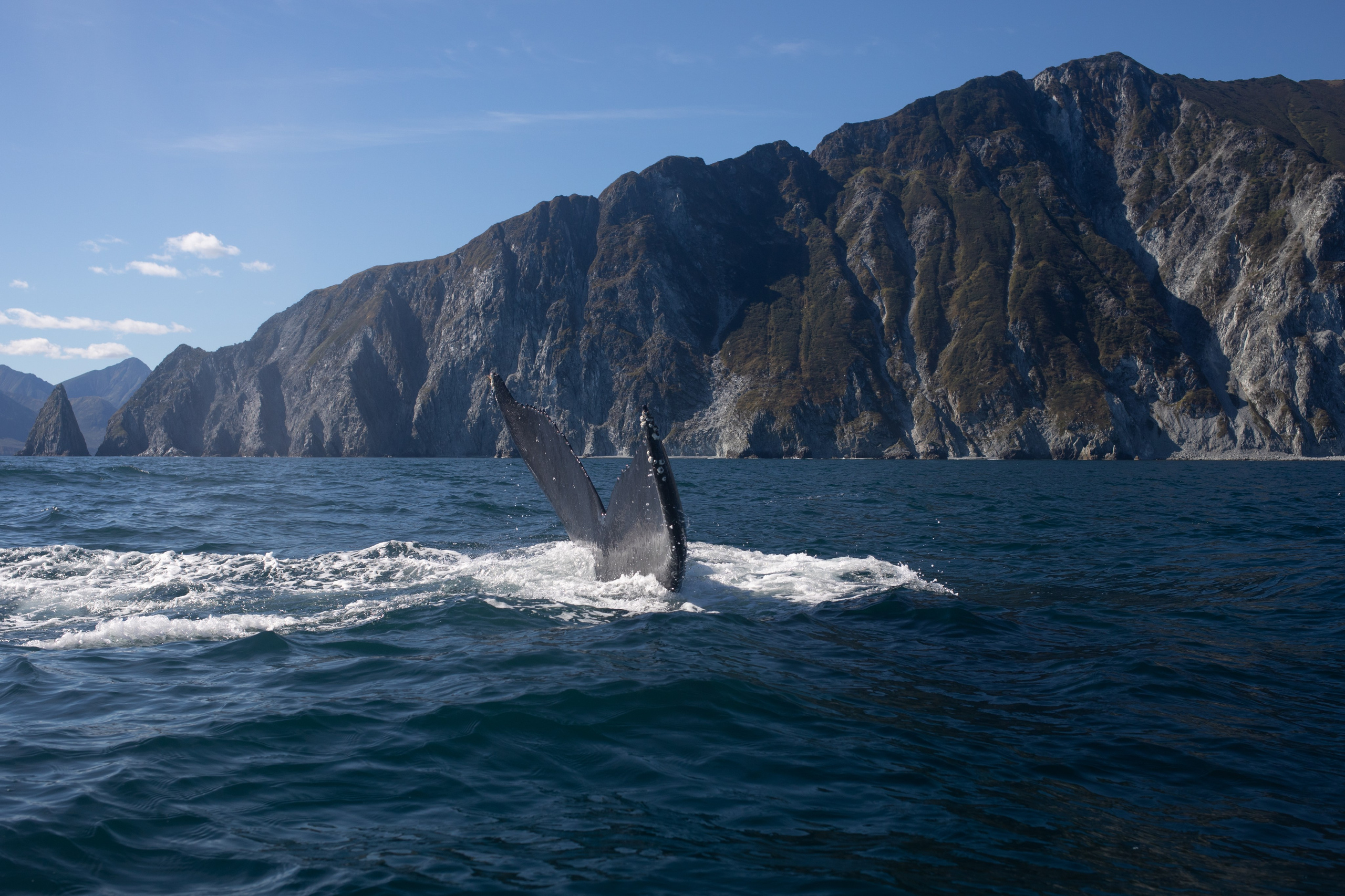 Kamchatka. Yulia Tsyganova
