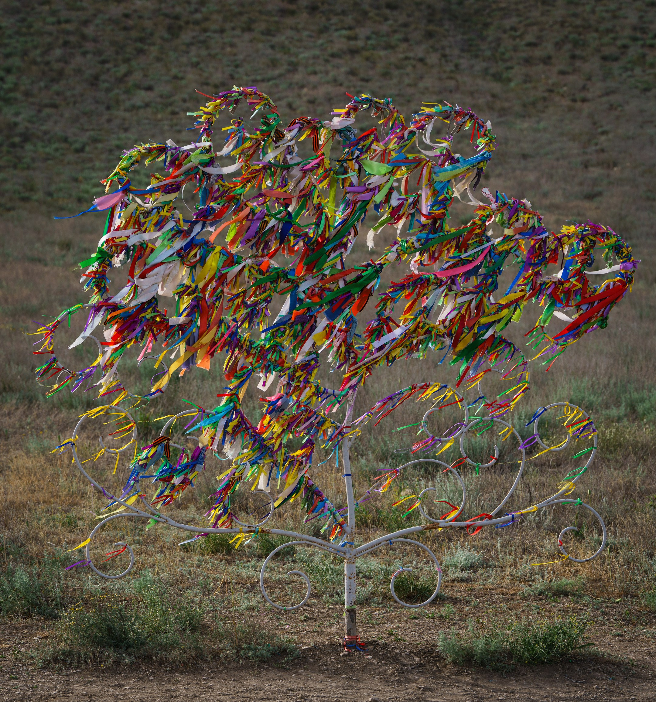 Памятное дерево, Большое Богдо,  Астраханская область