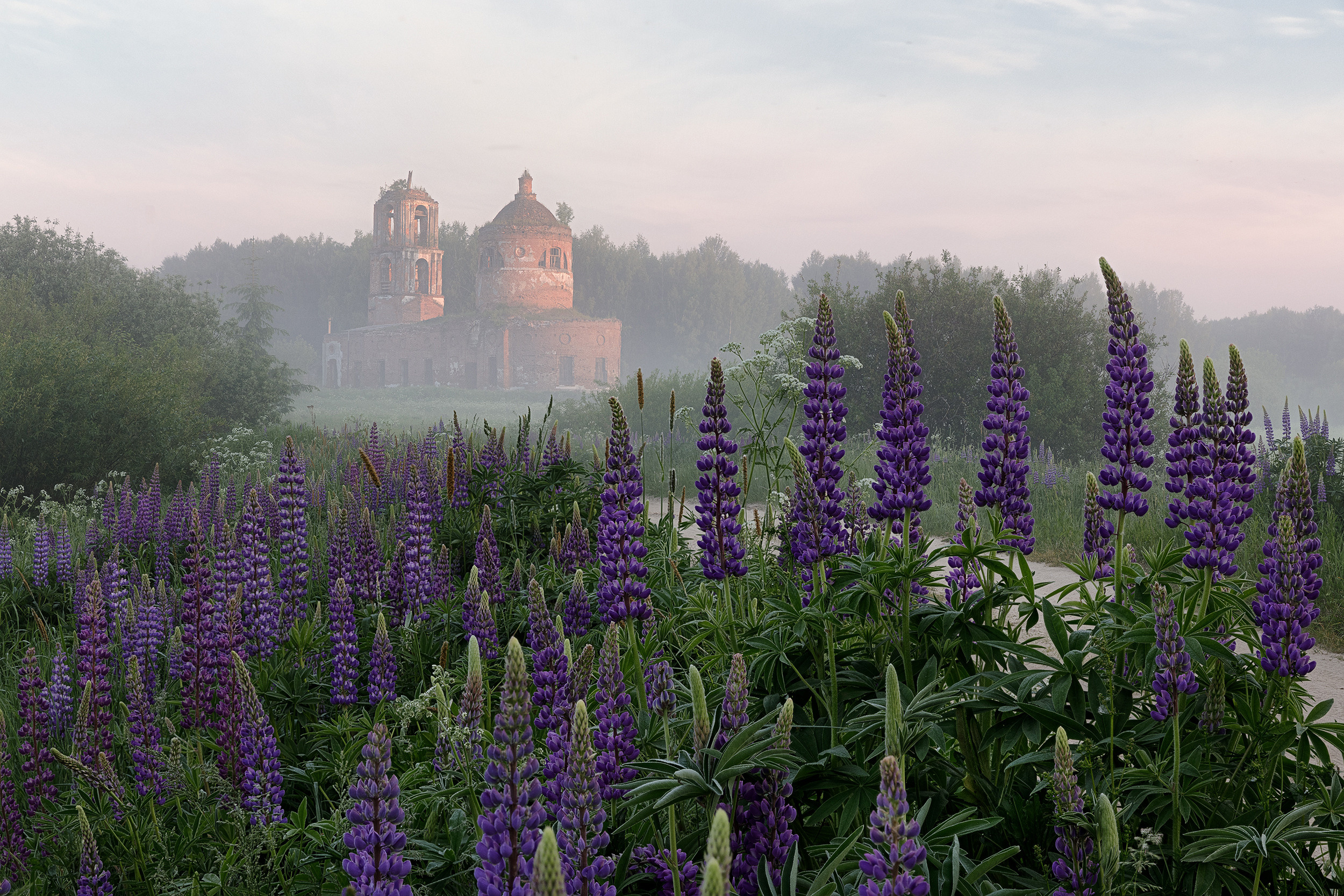 Пейзажи. Предметный фотограф в Москве Вячеслав Тимошенко