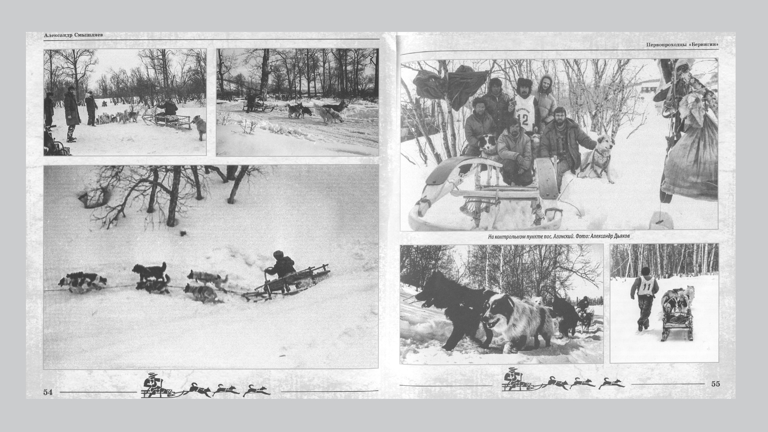 Первопроходцы «Берингии». Александр Смышляев. История гонок на собачьих упряжках «Берингия»