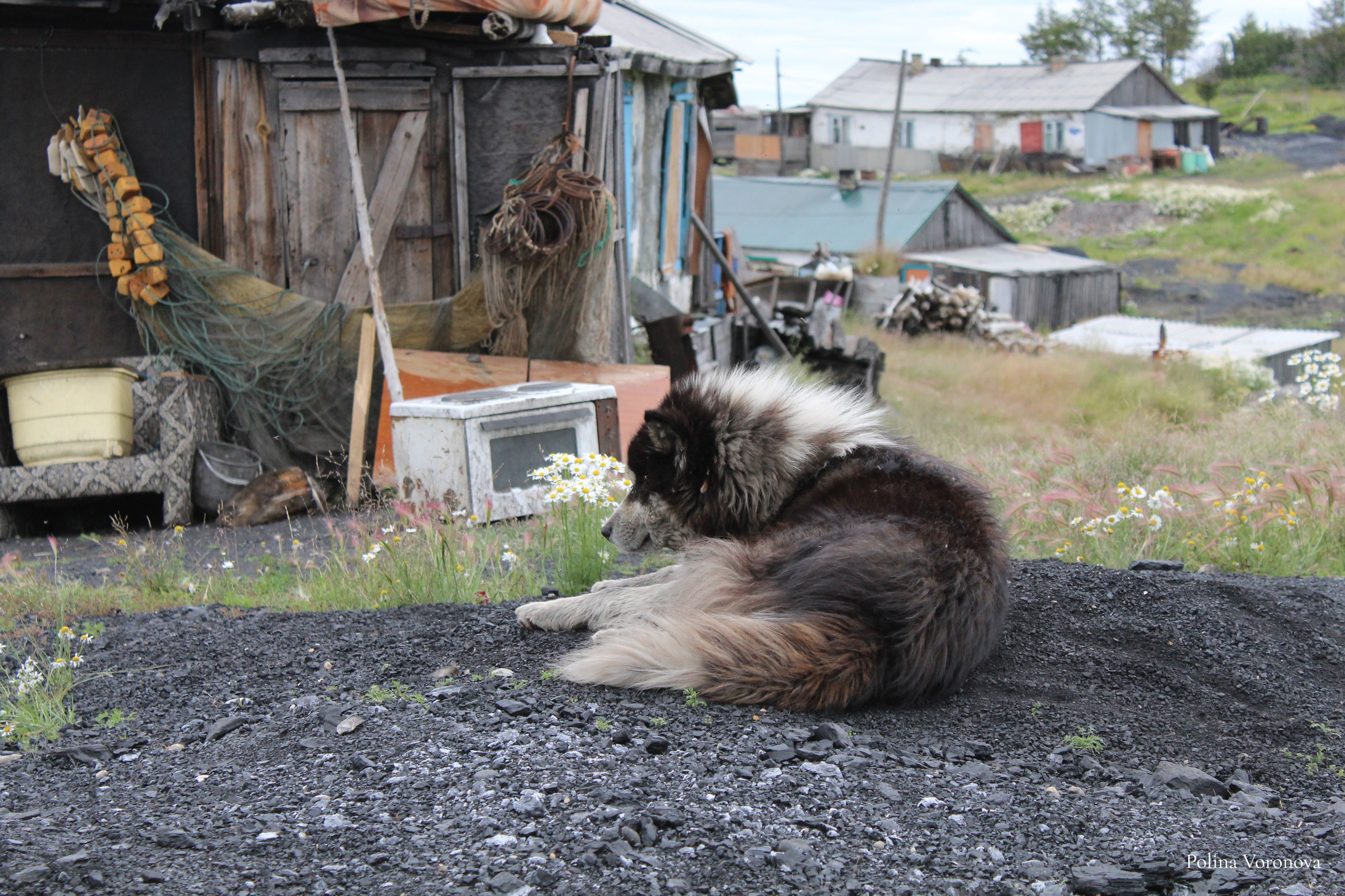Хатанга и Русское Географическое общество 2024. Хорошая экспедиция