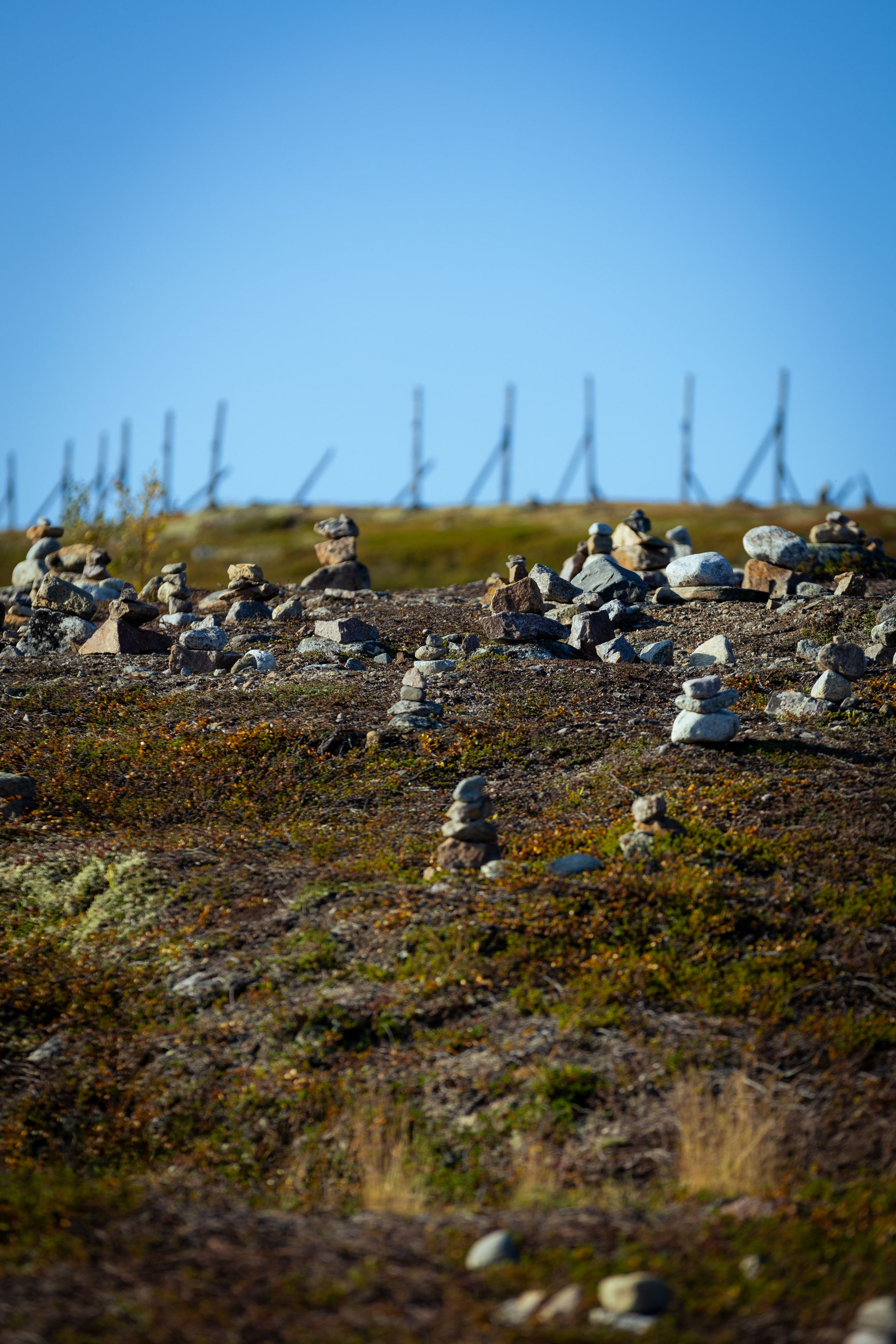 Кольский (осень 2025). Фотограф Виноградов Константин