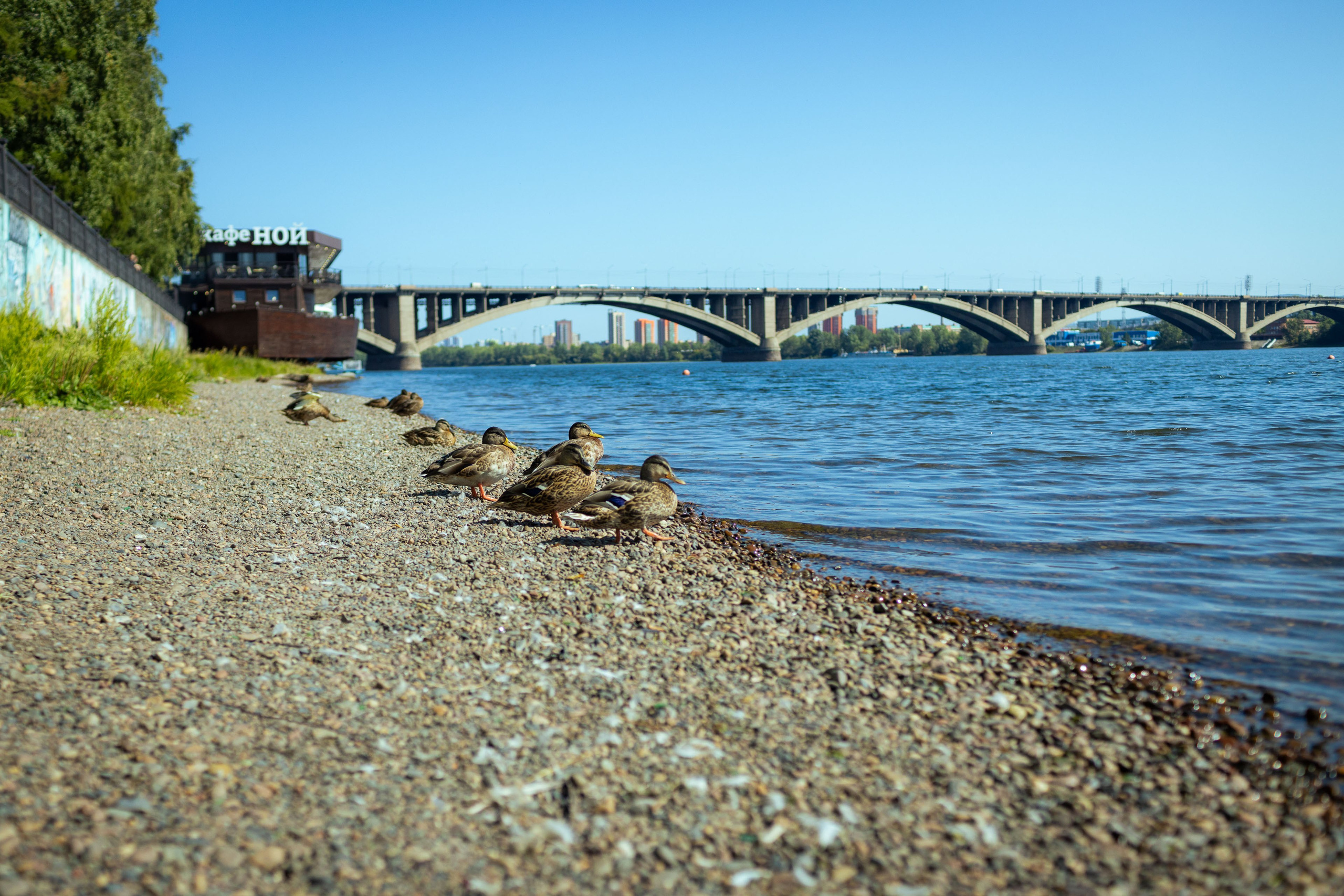 Красноярск (осень 2023). Фотограф Виноградов Константин