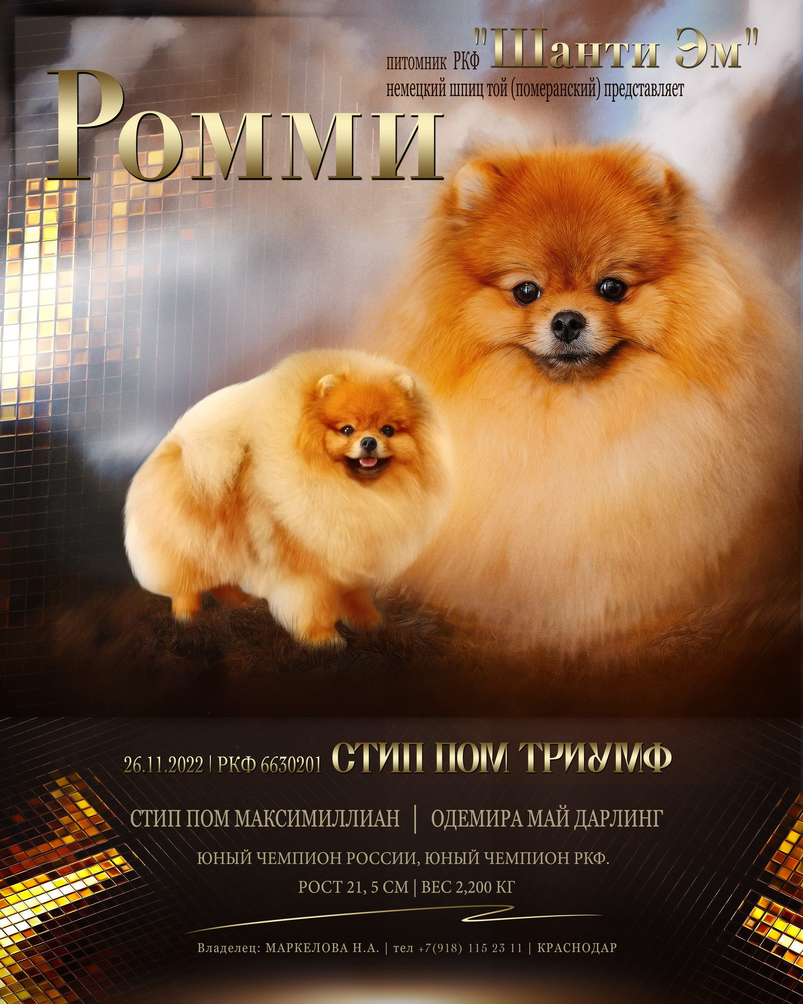 Animal presentation. Фотограф