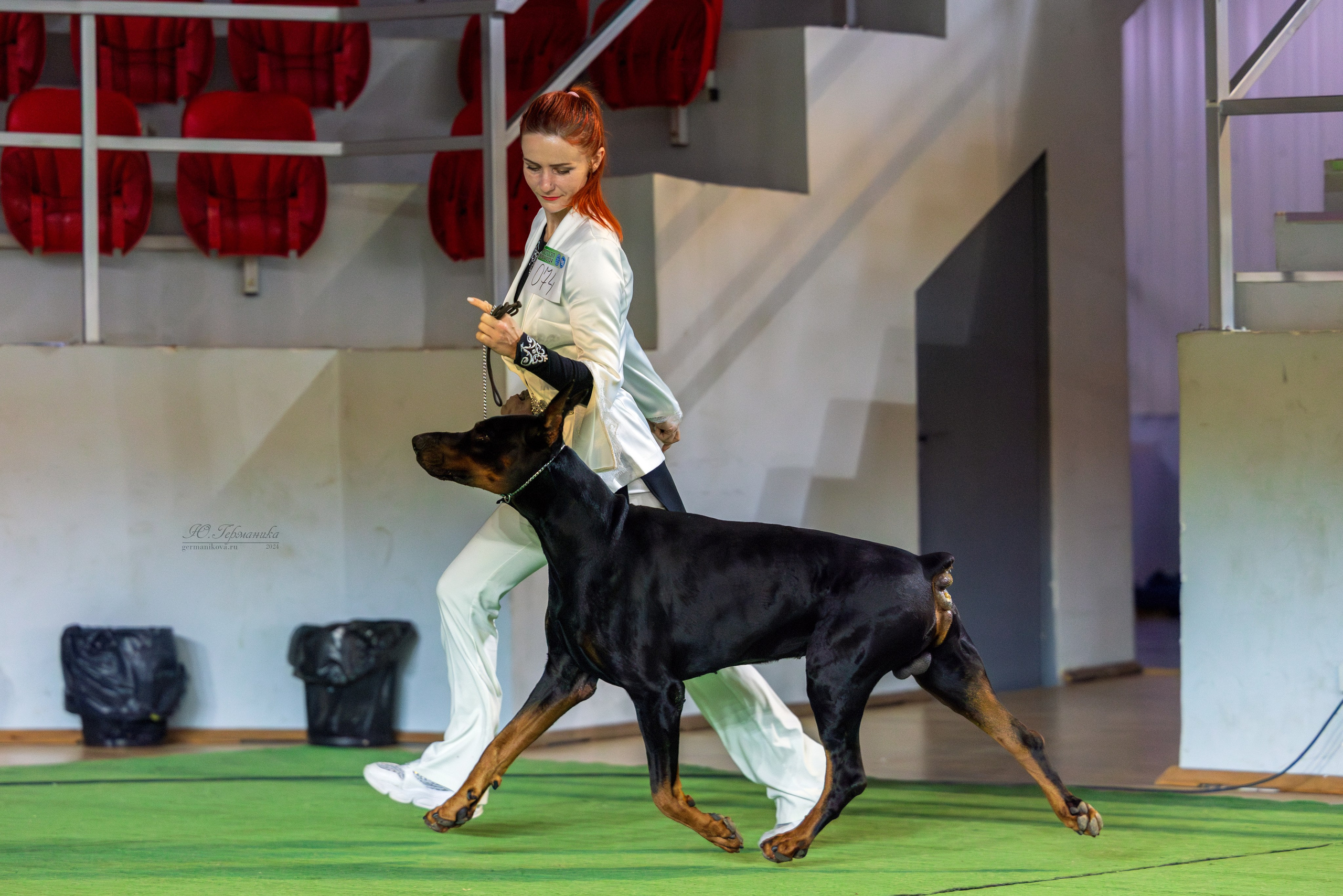 Грузия,Телави 2хCACIB 19-20.10.2024. Фотограф-анималист Юлия Германика