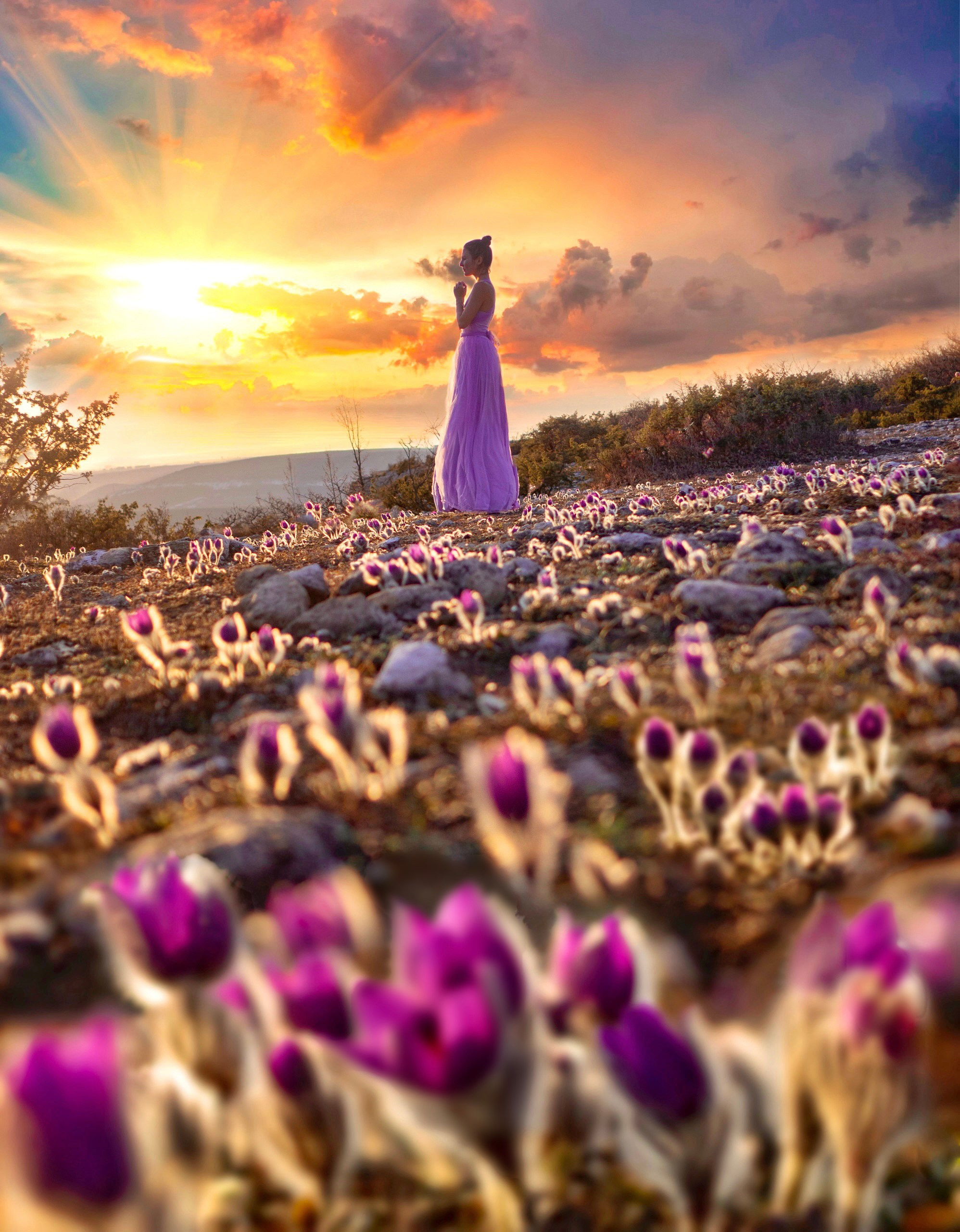 Прочее. Фотограф в Крыму Лебедева Александра