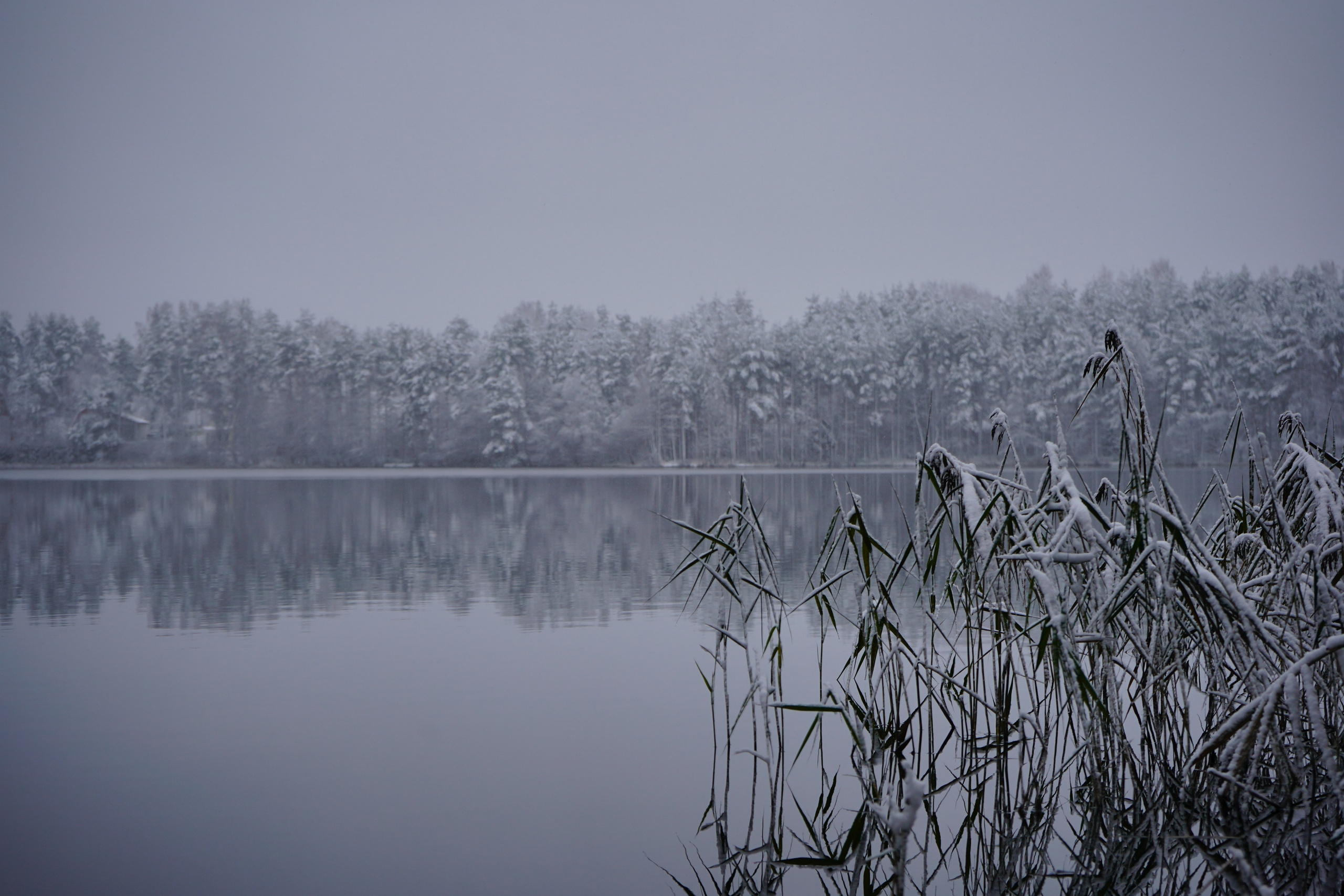 Разное. Фотограф в Санкт-Петербурге Виктория Барышникова