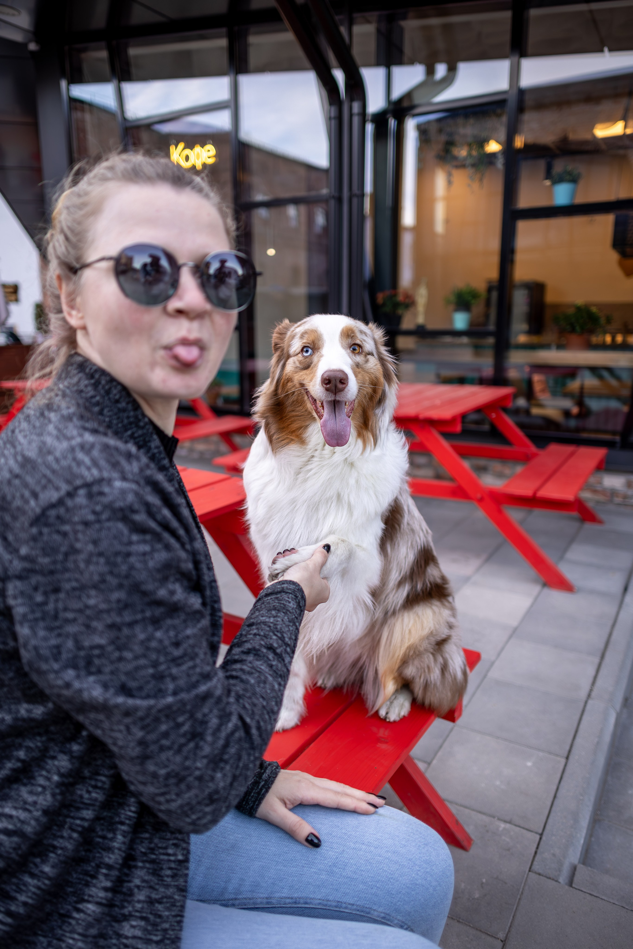 Полли, Австралийская Овчарка. Ирина Голомб|Фотограф-анималист в  Сочи и Калининграде