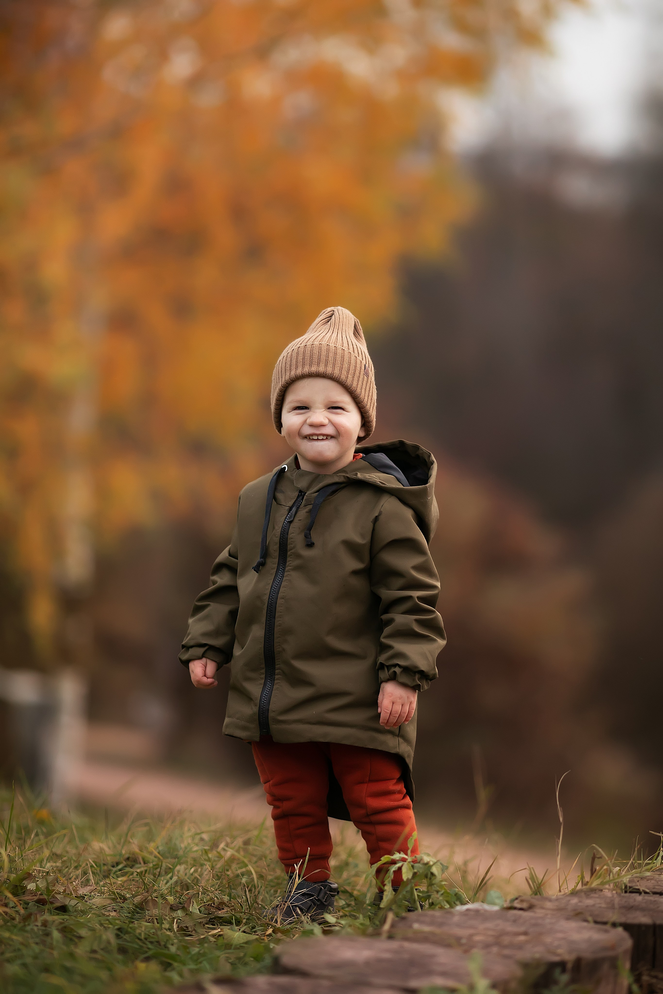 Сказочная осень. Главная