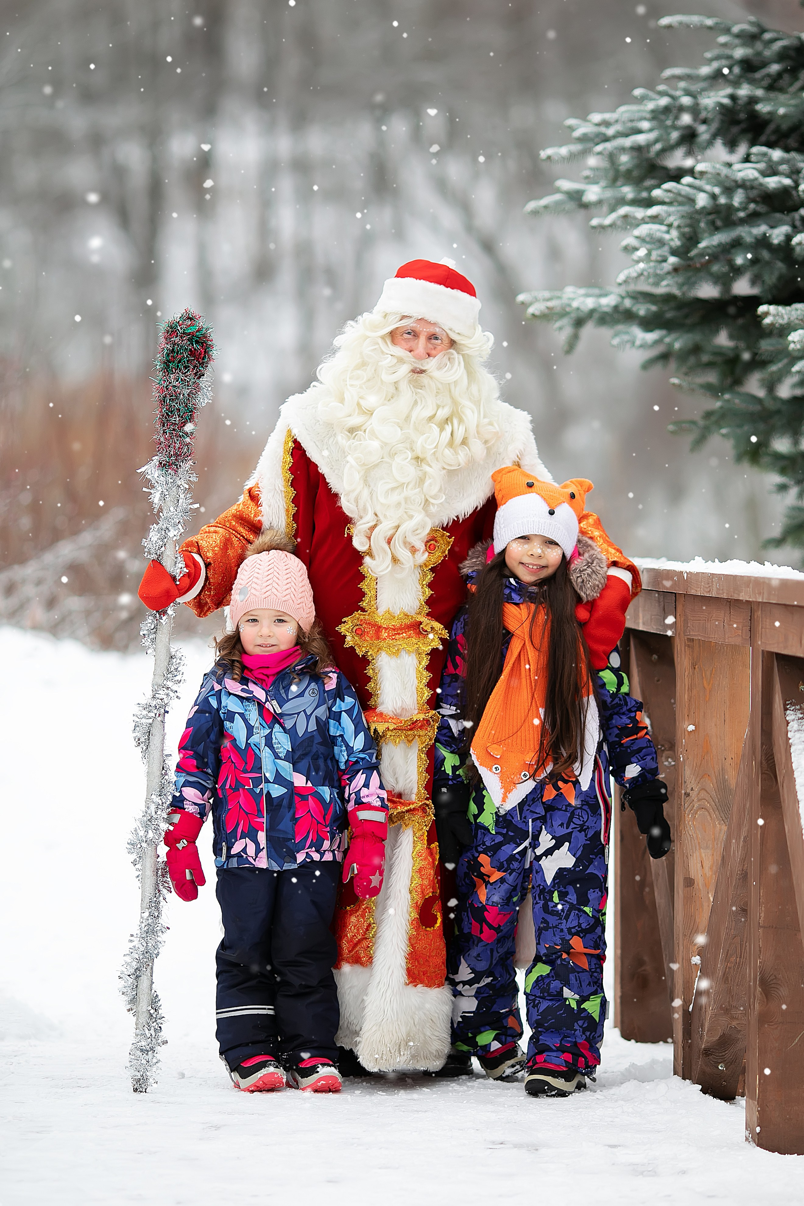 Фотодень с Дедом Морозом. Главная