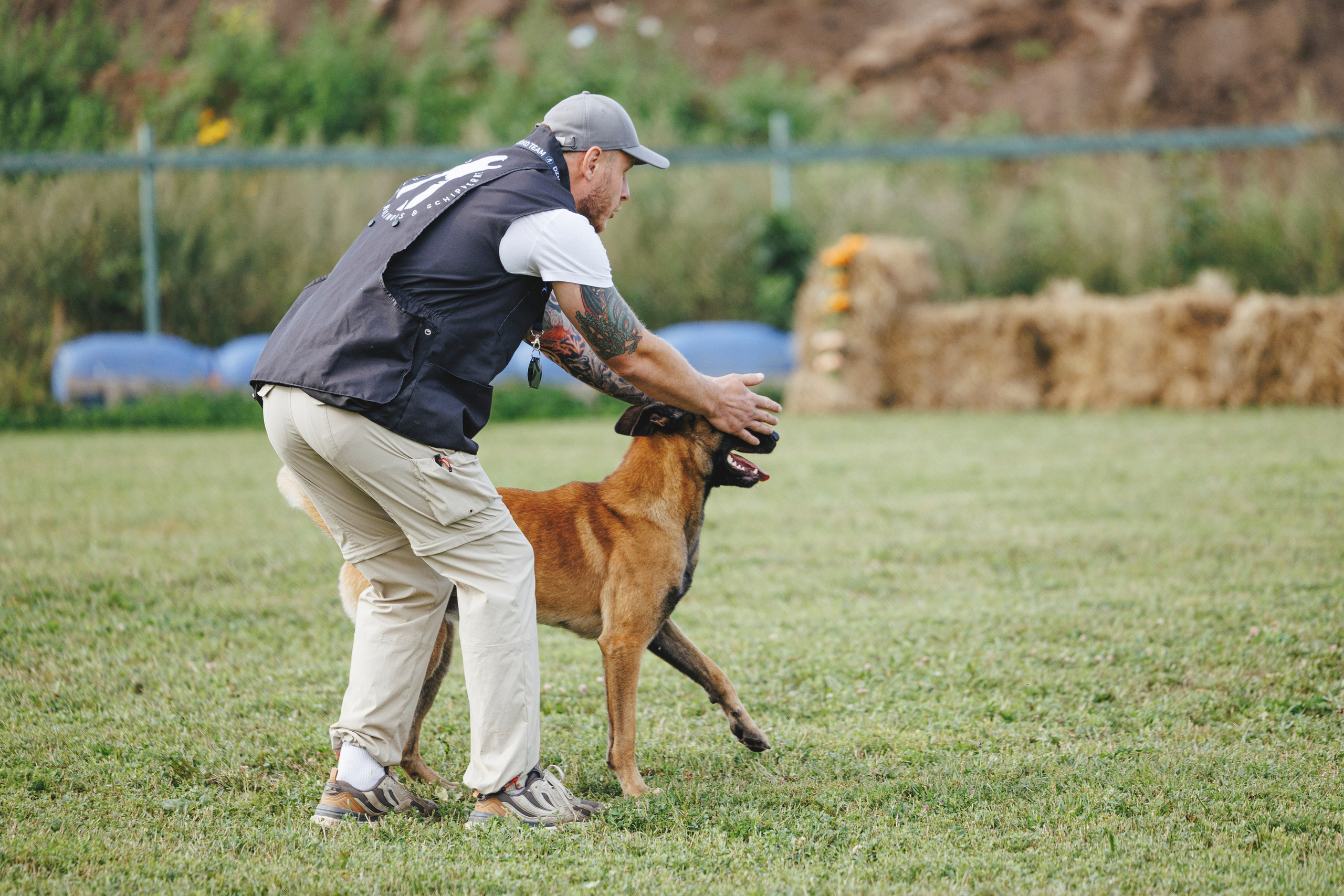 08.08.25-10.08.25 ЧР по мондьорингу г. Вологда. Фотограф-анималист Анна Маринич