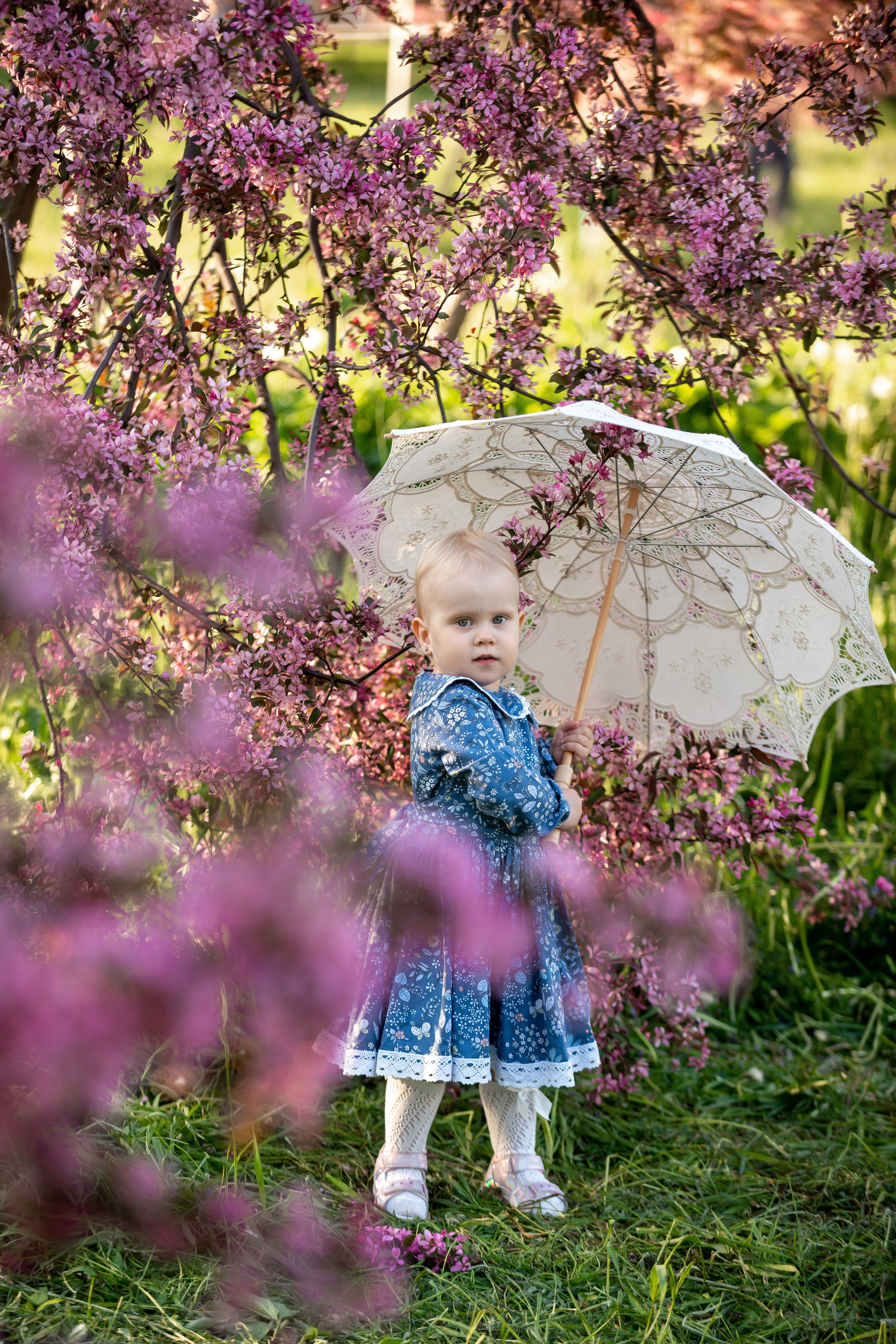 Ника и родители в розовых яблонях. Портретный, семейный и свадебный фотограф в Санкт-Петербурге и в Пушкине Ширяев Денис