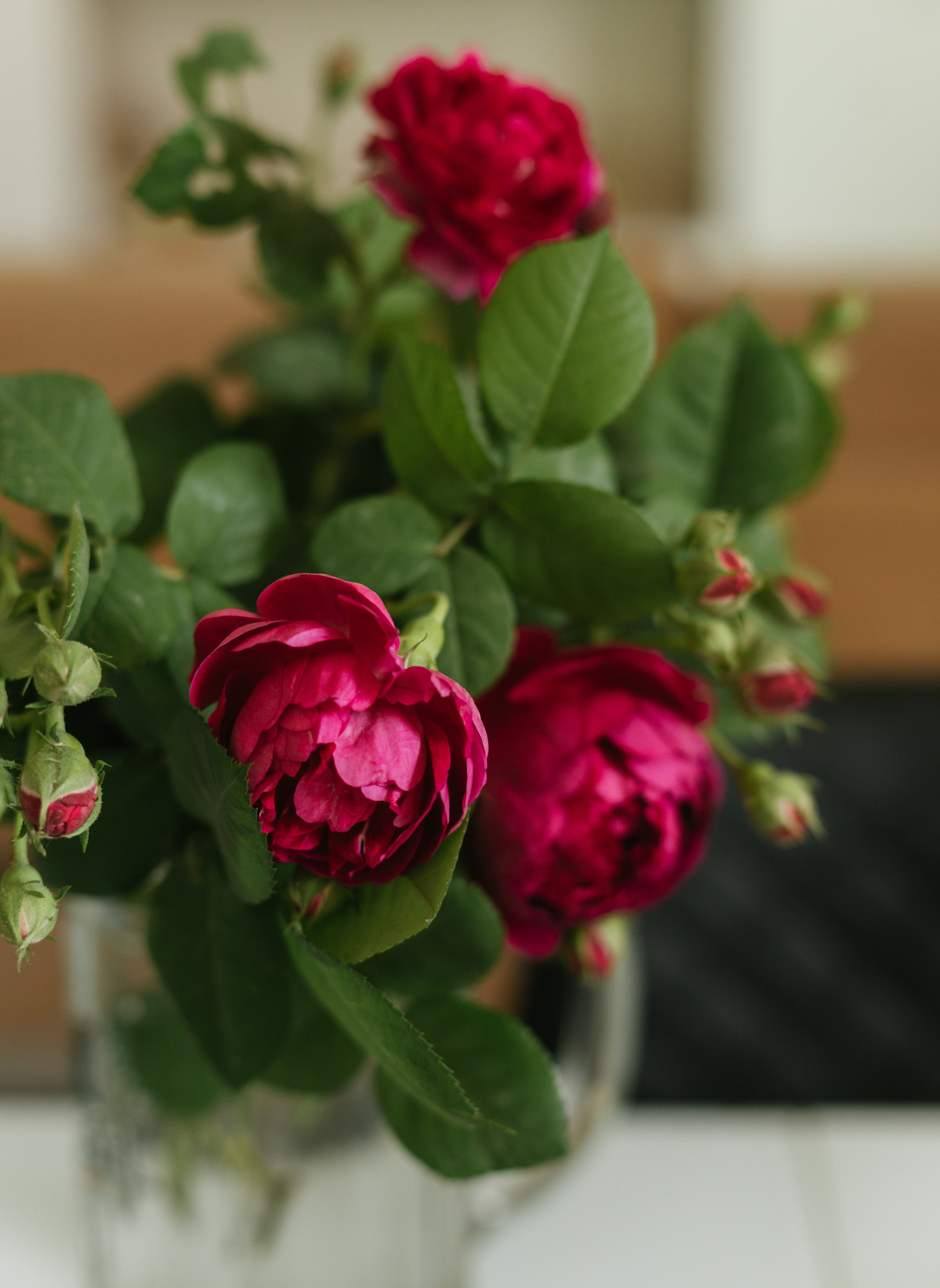 Природа. Свадебный и семейный фотограф в Краснодаре и Краснодарском крае