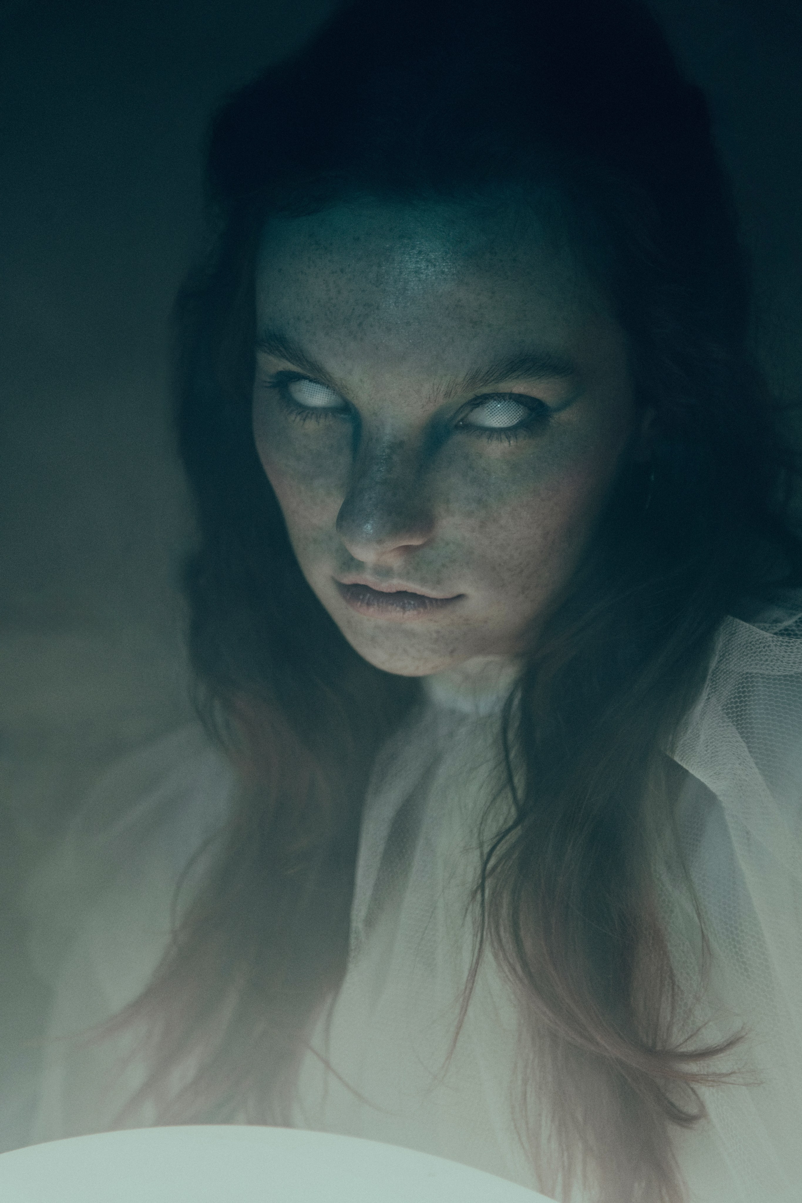 Мотылек. Фотограф Anita Mivchas