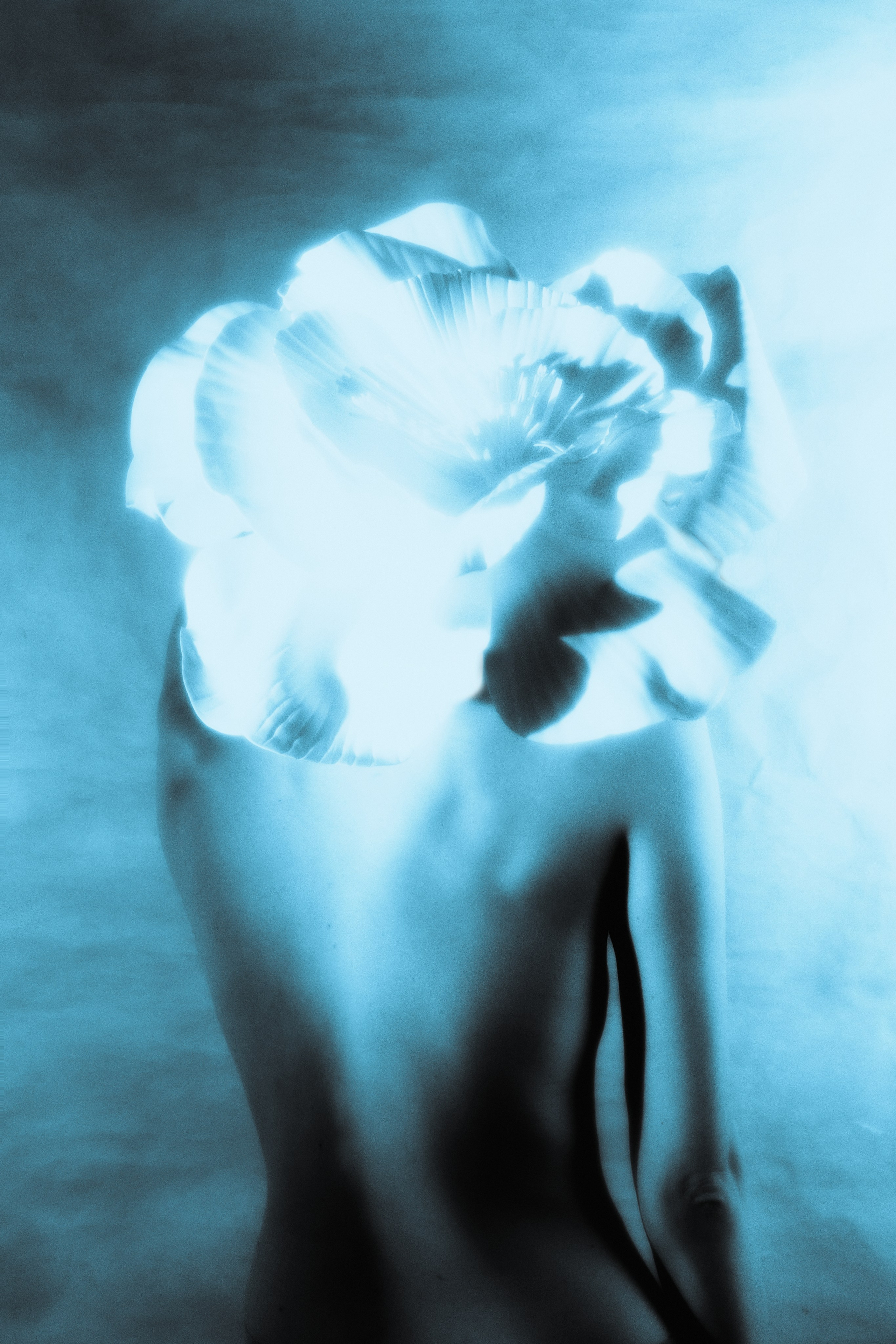 Flowers within. Fashion Photographer Oxana Chernomorets