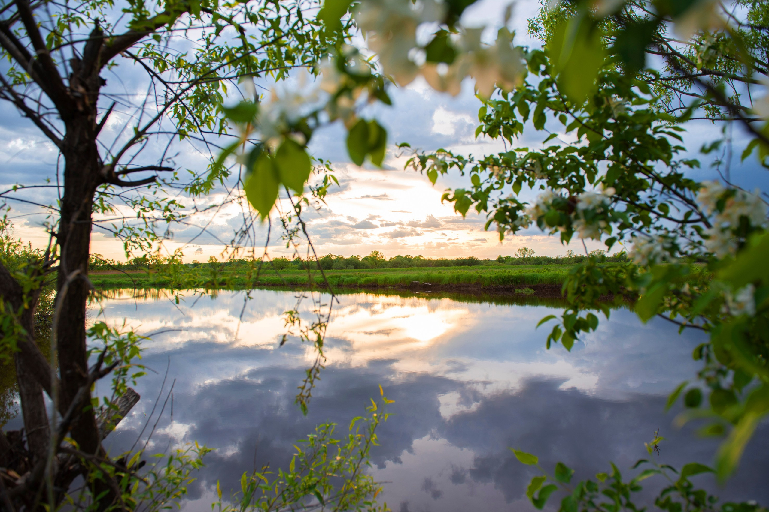 Природа Хабаровского края. Команда фотографов Кристины Ивановой