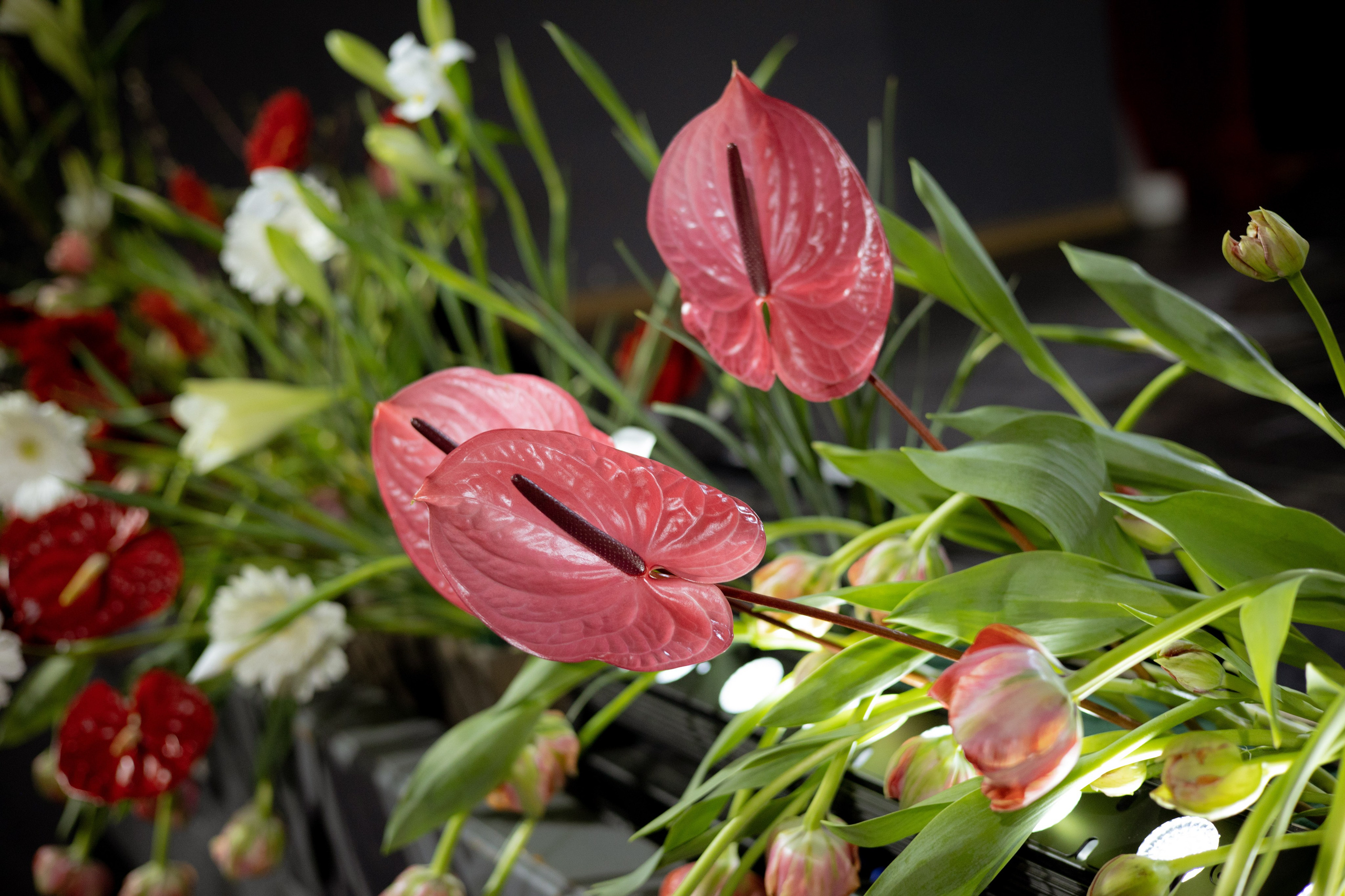 Оформление Отчетного концерта Музыкальной школы Глазунова. Оформление свадеб, декор свадеб Вера Маркова, Москва