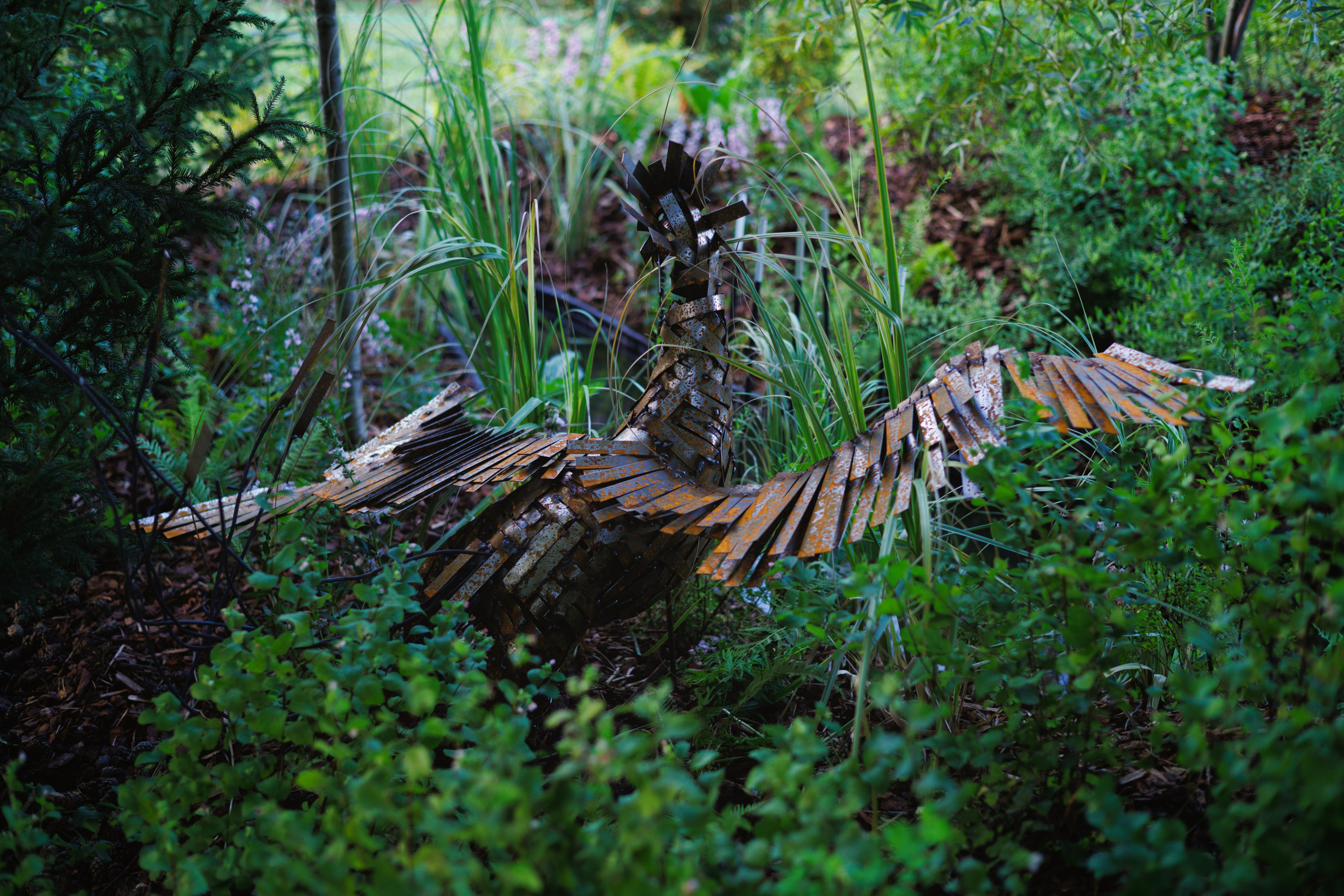 Ландшафтный дизайн. Фотограф Наталья Молчанова