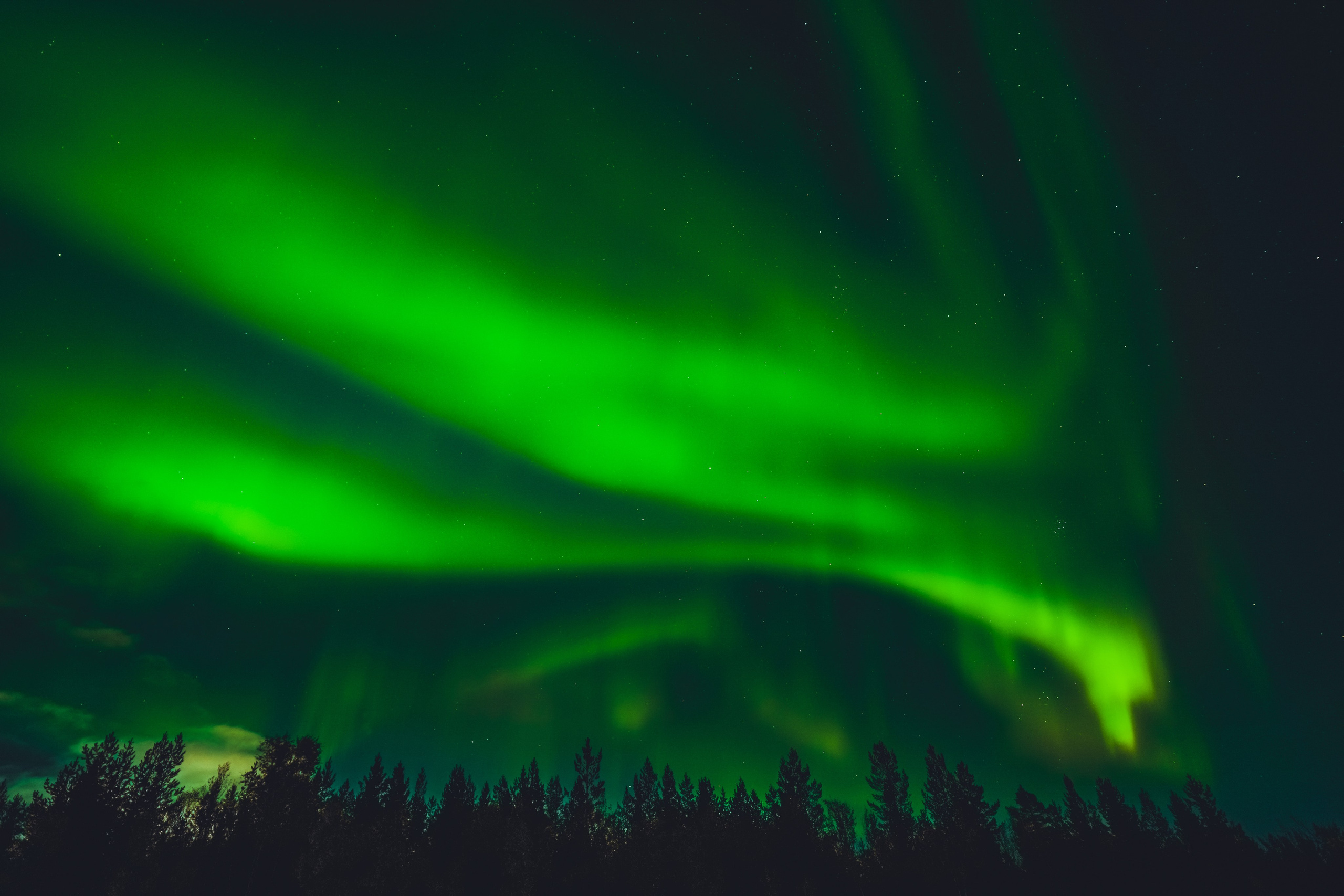 СЕВЕР. Event фотограф Степанова Александра