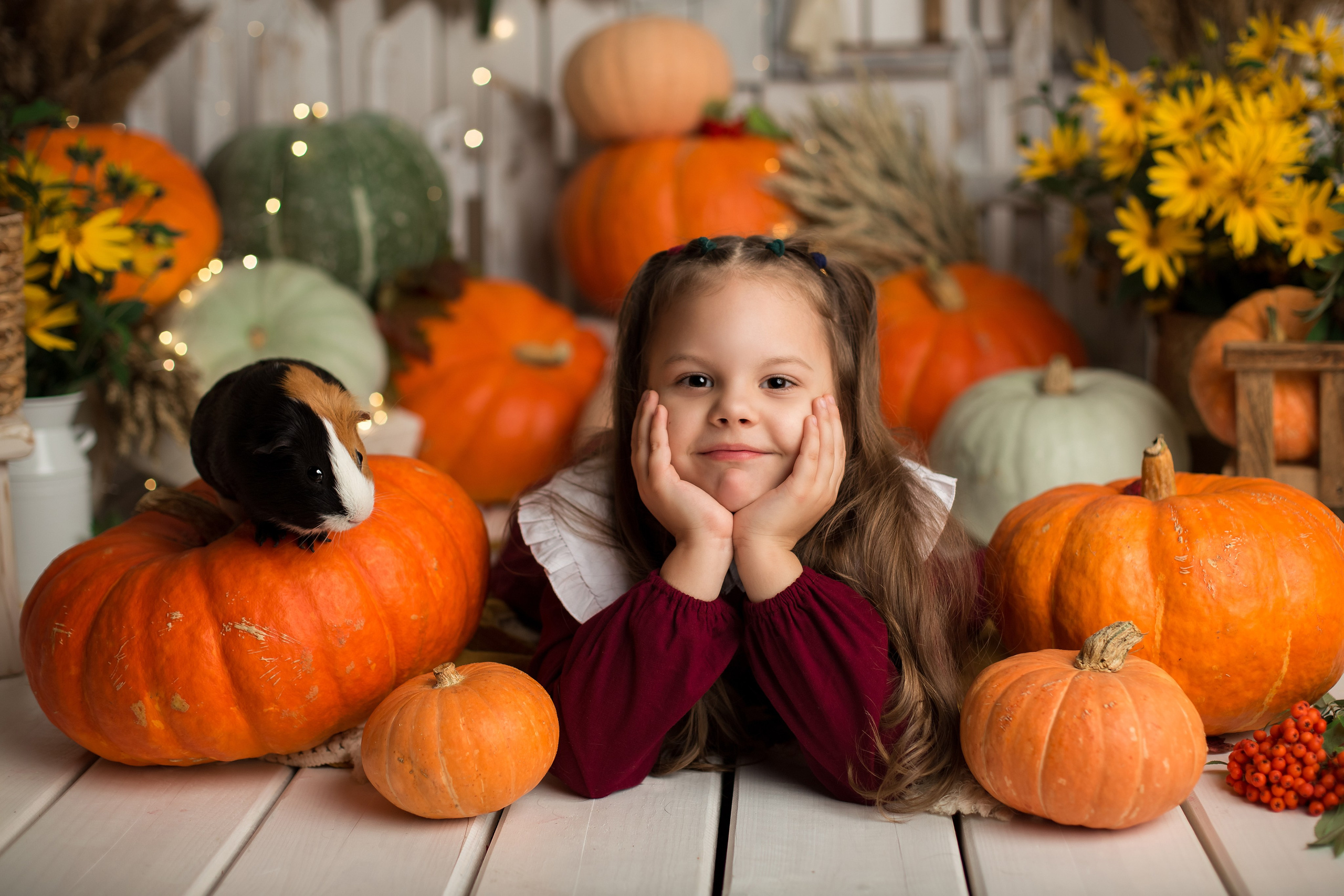 Тематические фотопроекты. Главная