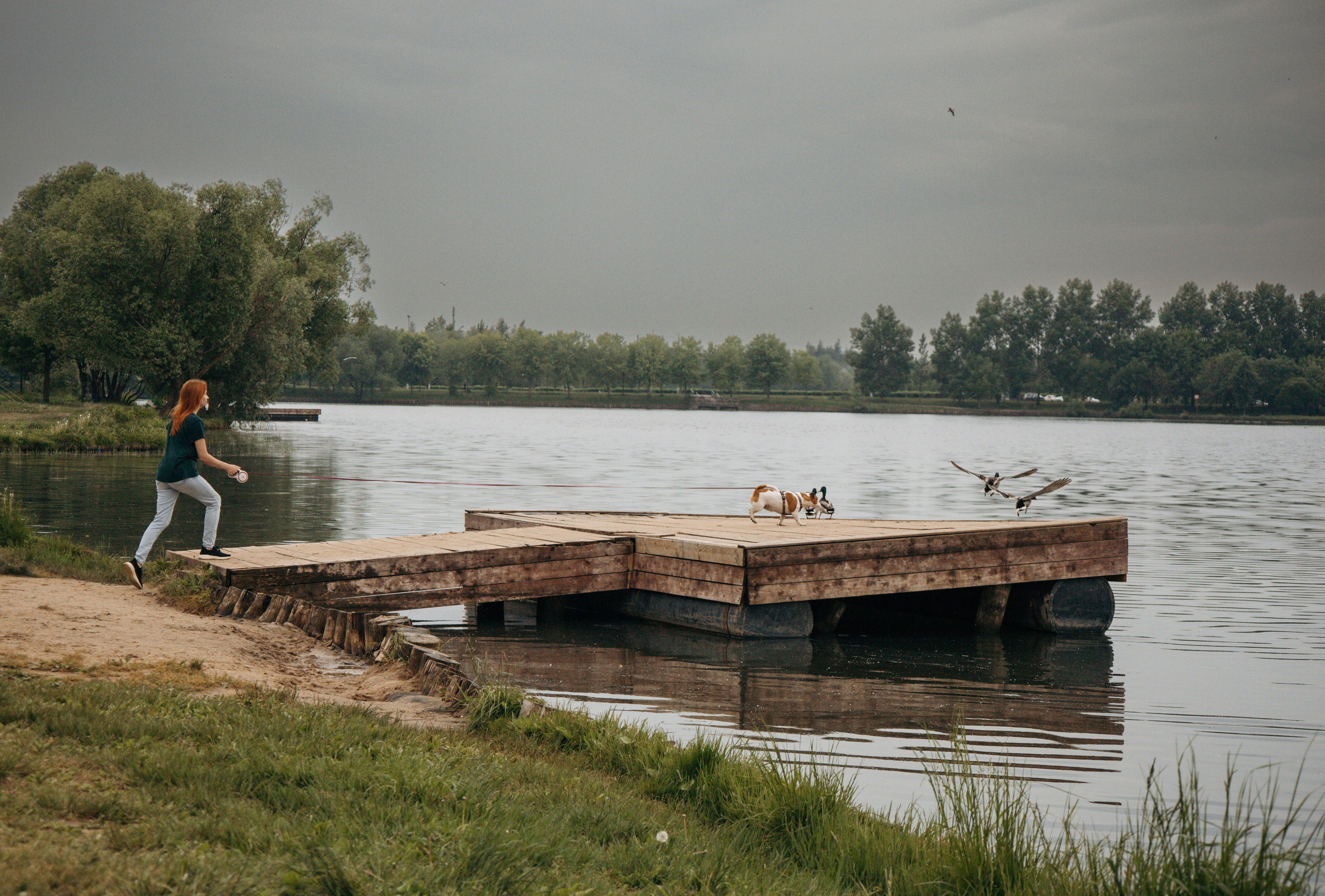 Моя маленькая спутница: Банни и Настя в Южнобутовском парке. Фотограф-анималист в Москве Екатерина Тихонова