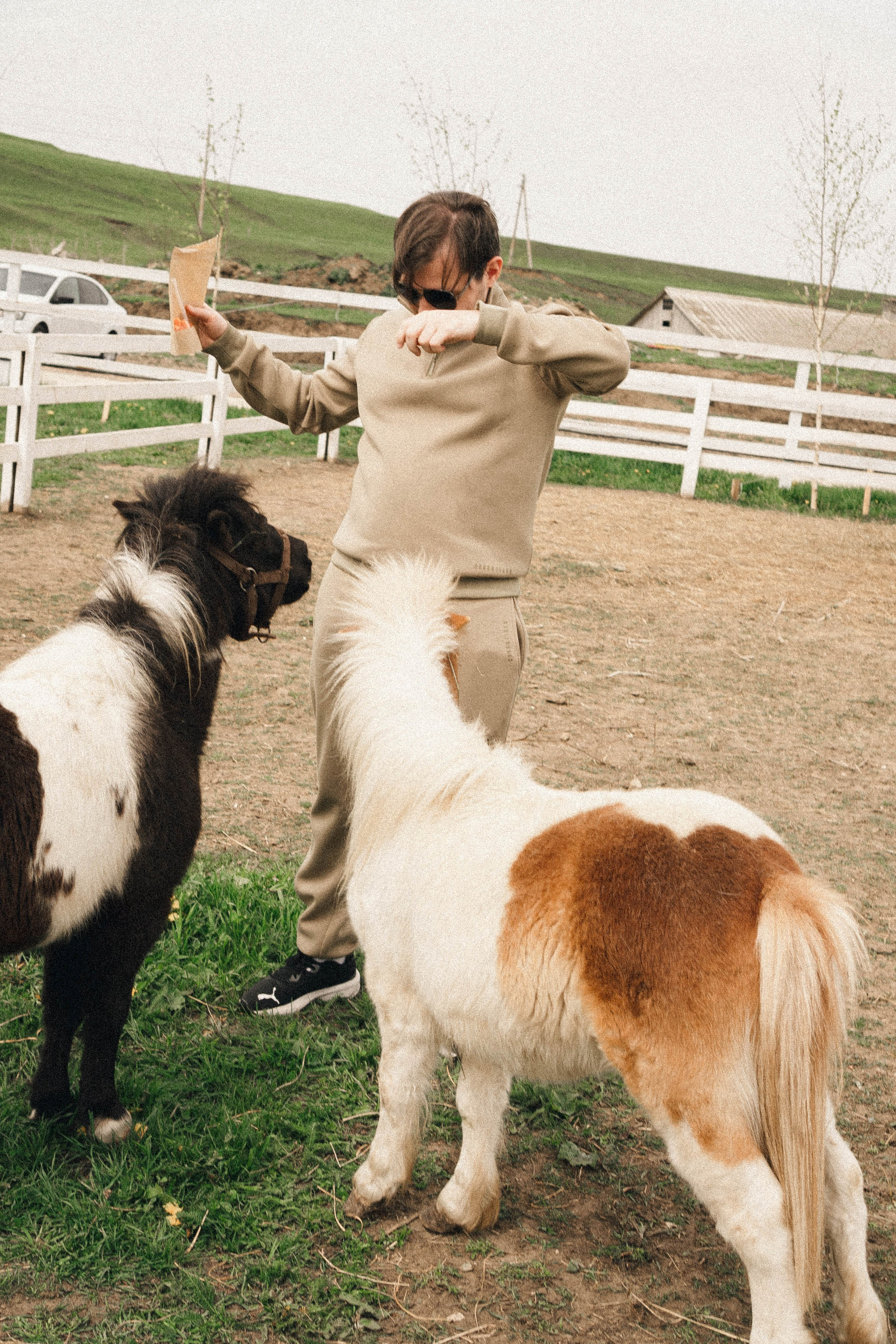Ферма Альпак. Профессиональный фотограф, Санкт-Петербург — Виктория Богомолова