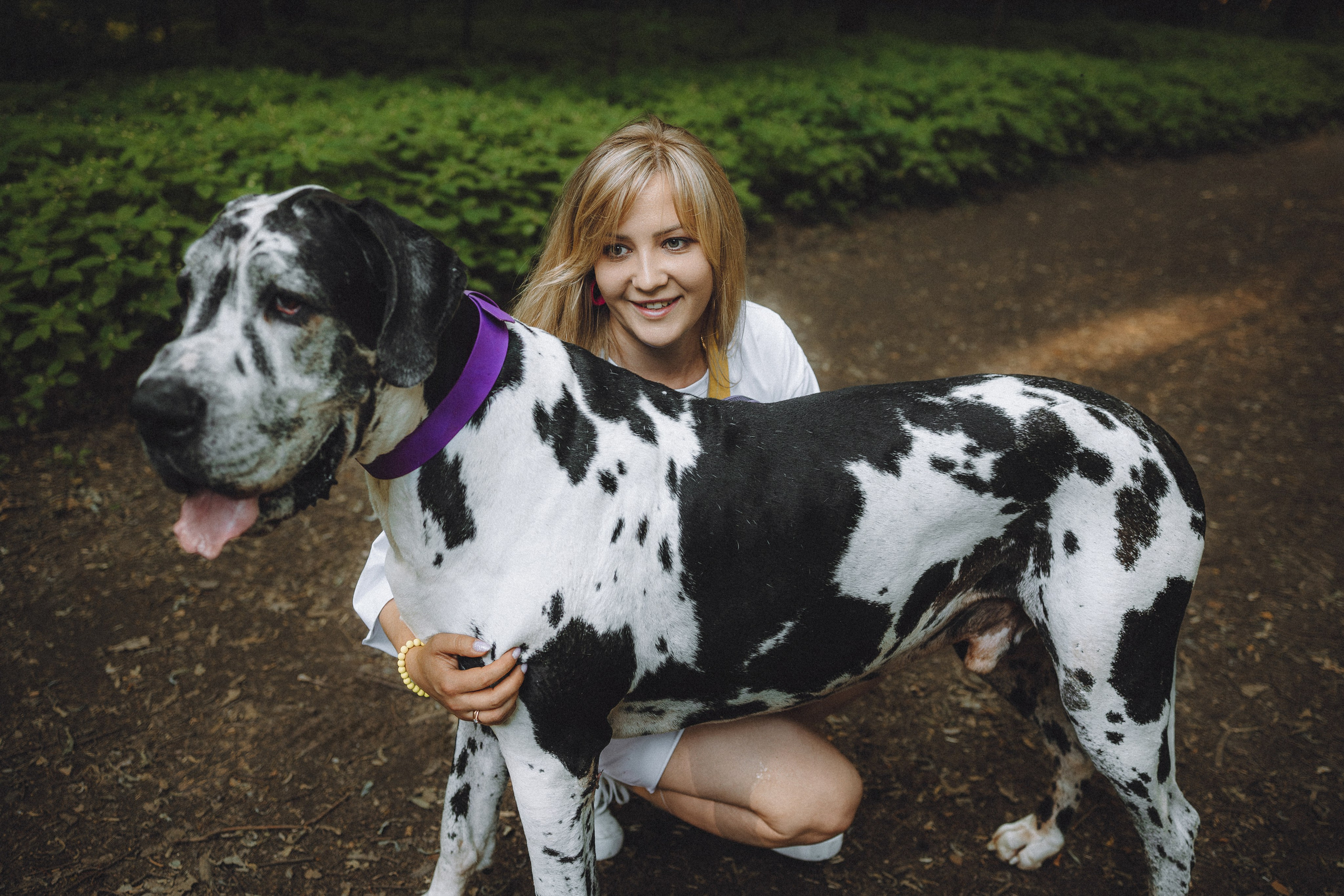 Катя, Андрей, Гектор, Ричи, Тортик и Трой