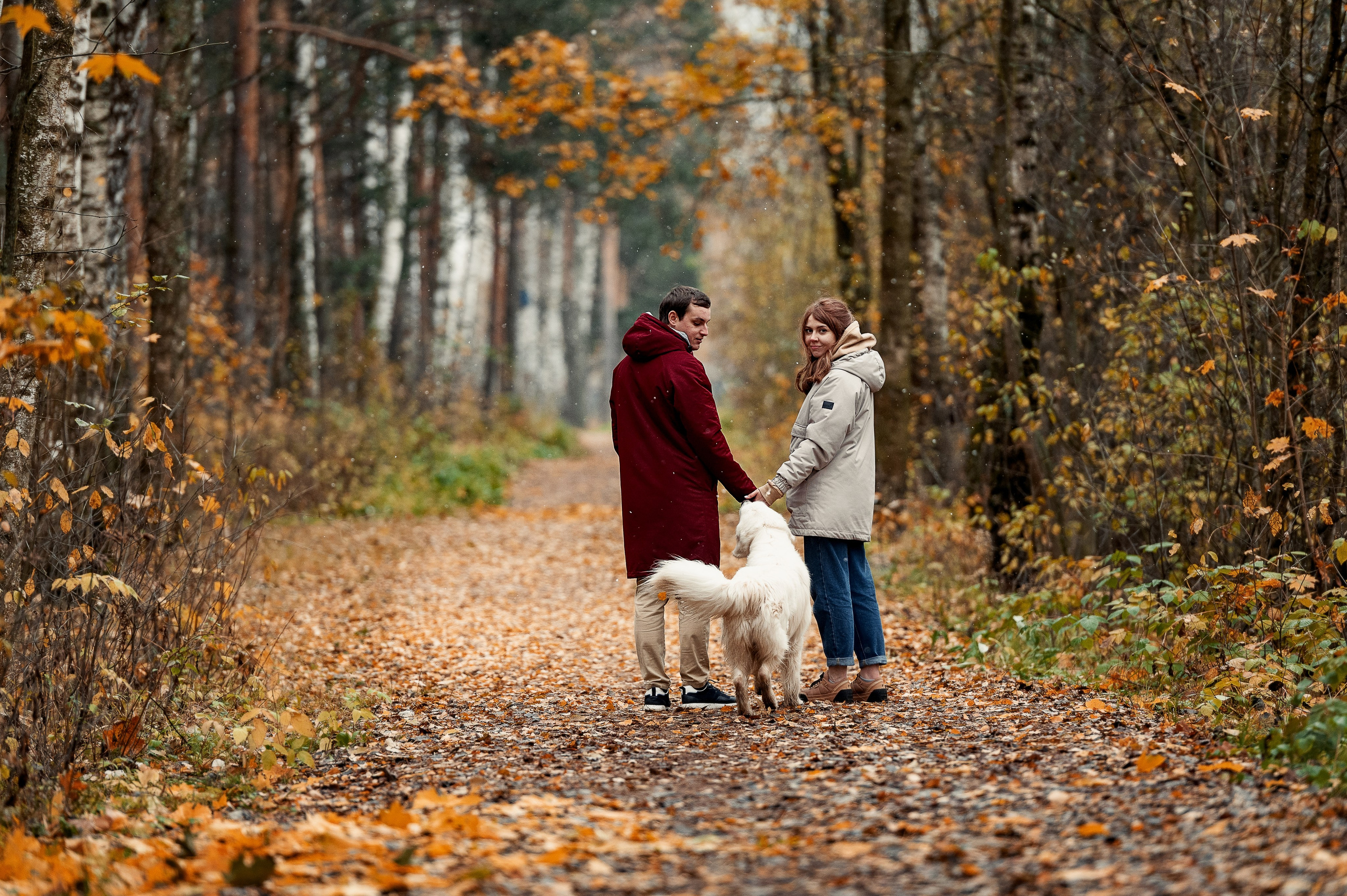 Айс и золотая осень. Фотограф-анималист