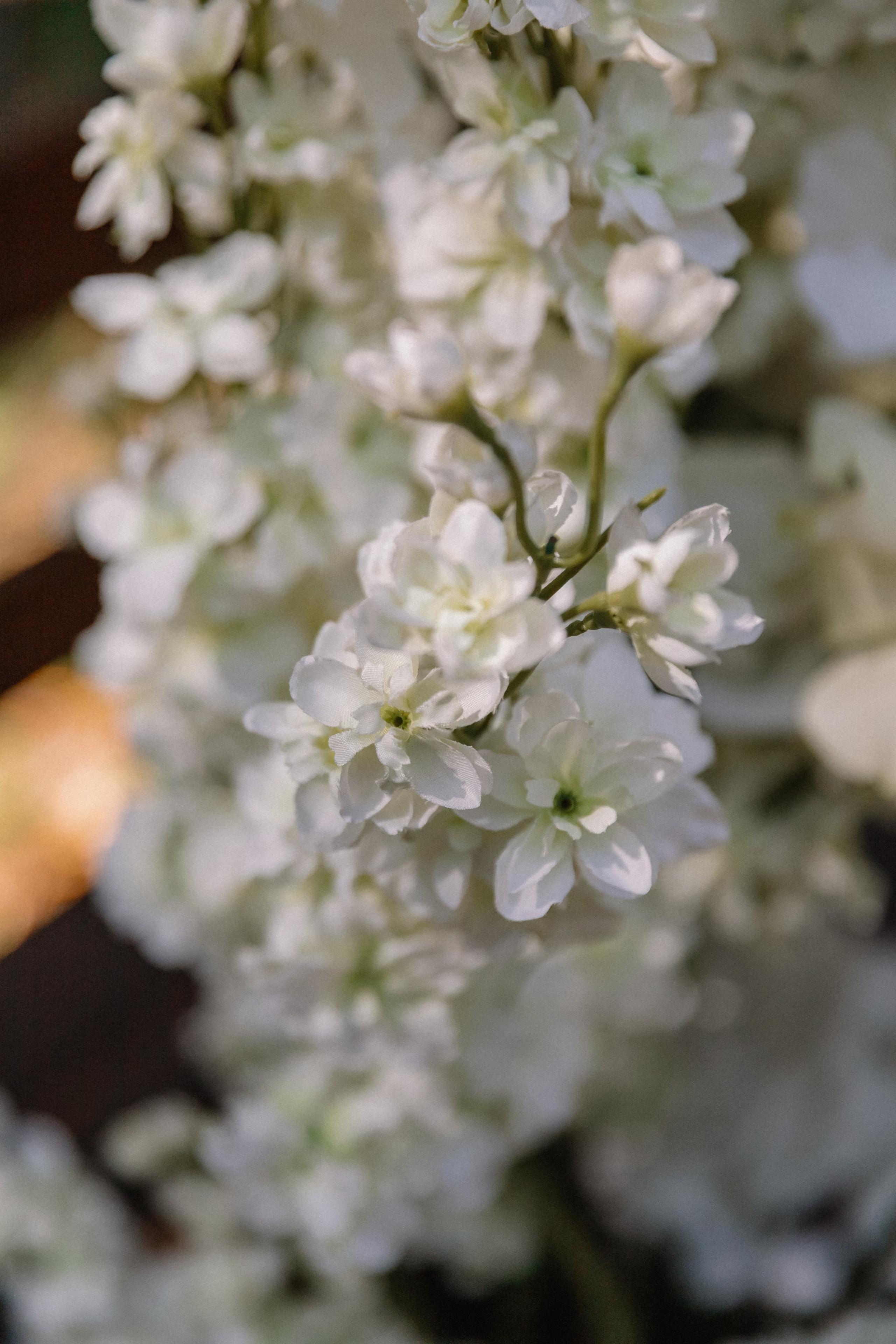 Карина + Дима: банкет. Николь — ваш любимый фотограф в Санкт-Петербурге