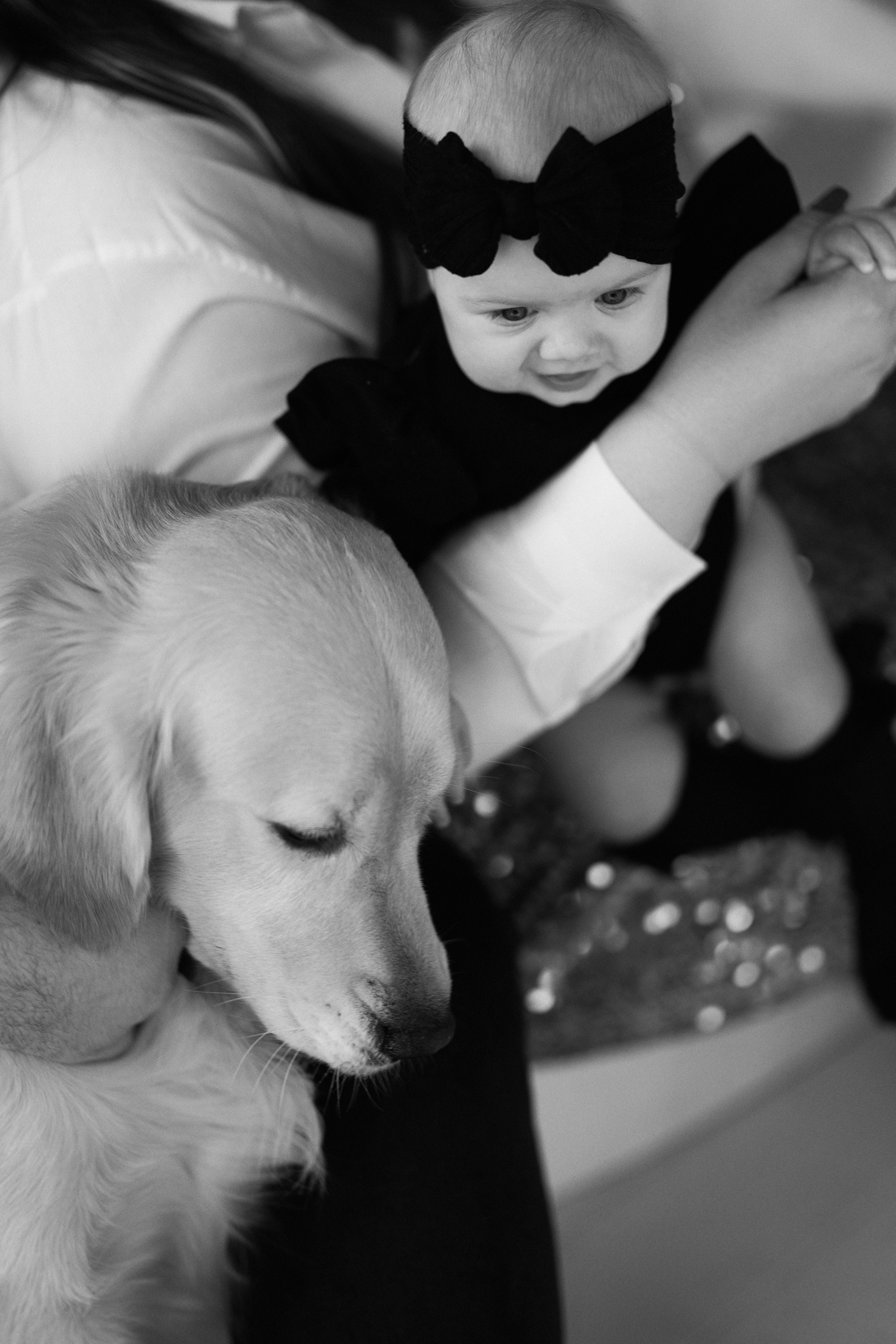 КАТЯ, ПАША, ТАСЯ И КАСПЕР ` 25. Maria Startseva Photo