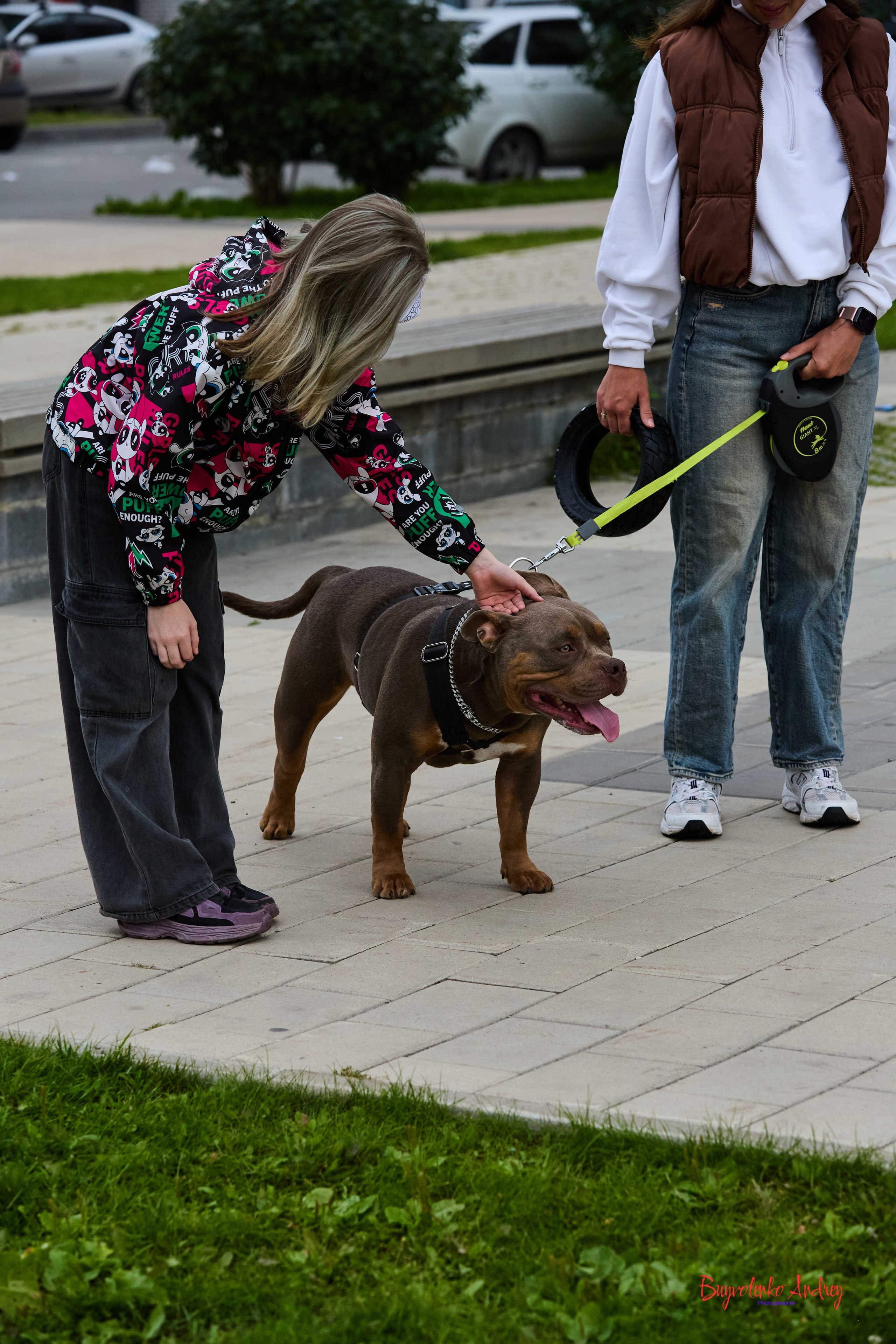 Проект фотопрогулка с хвостиком. Buyvolenko Andrey