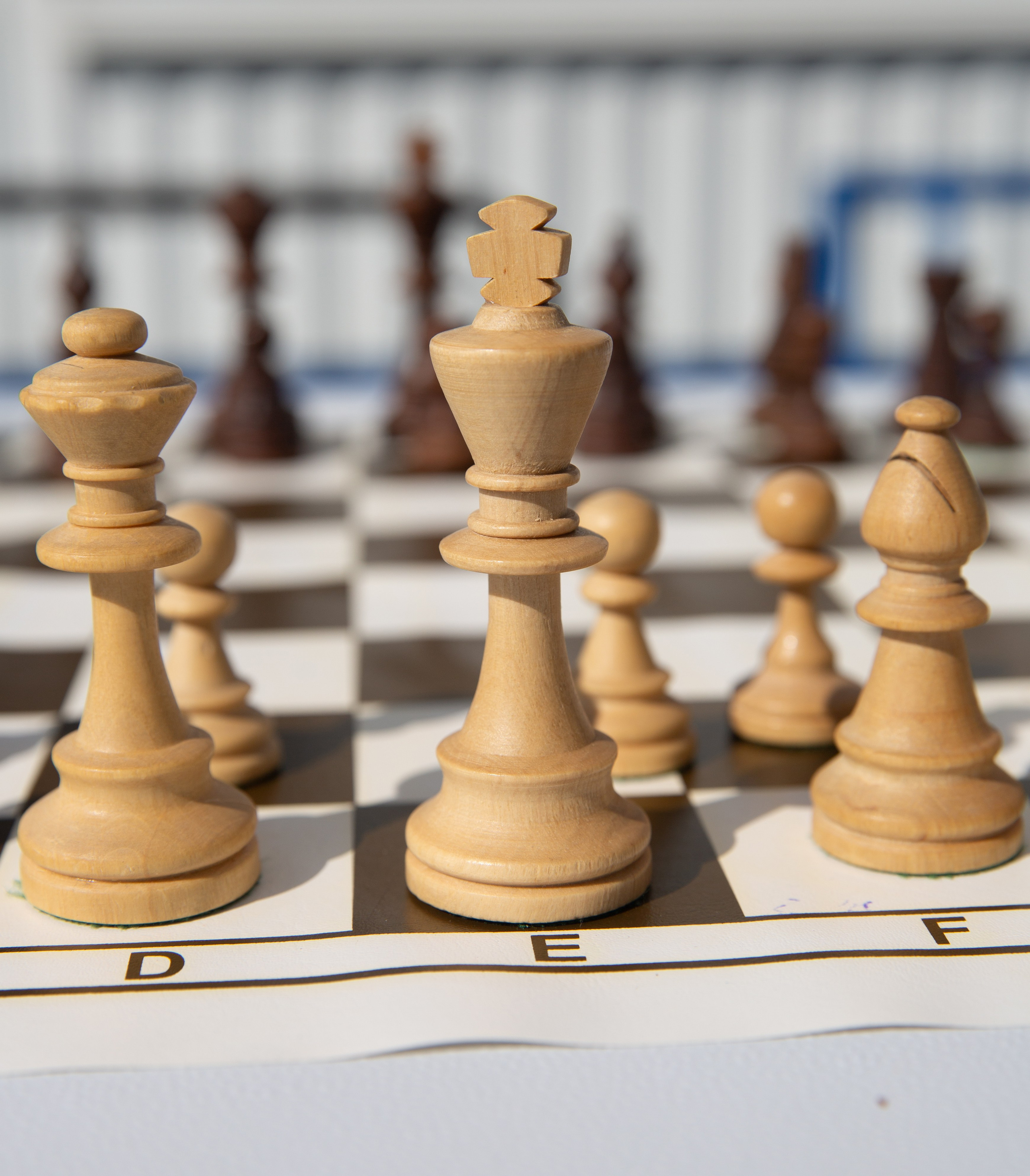 07.08.2025 г. Встреча ветеранов спорта Тюменской области. Мой фотомир