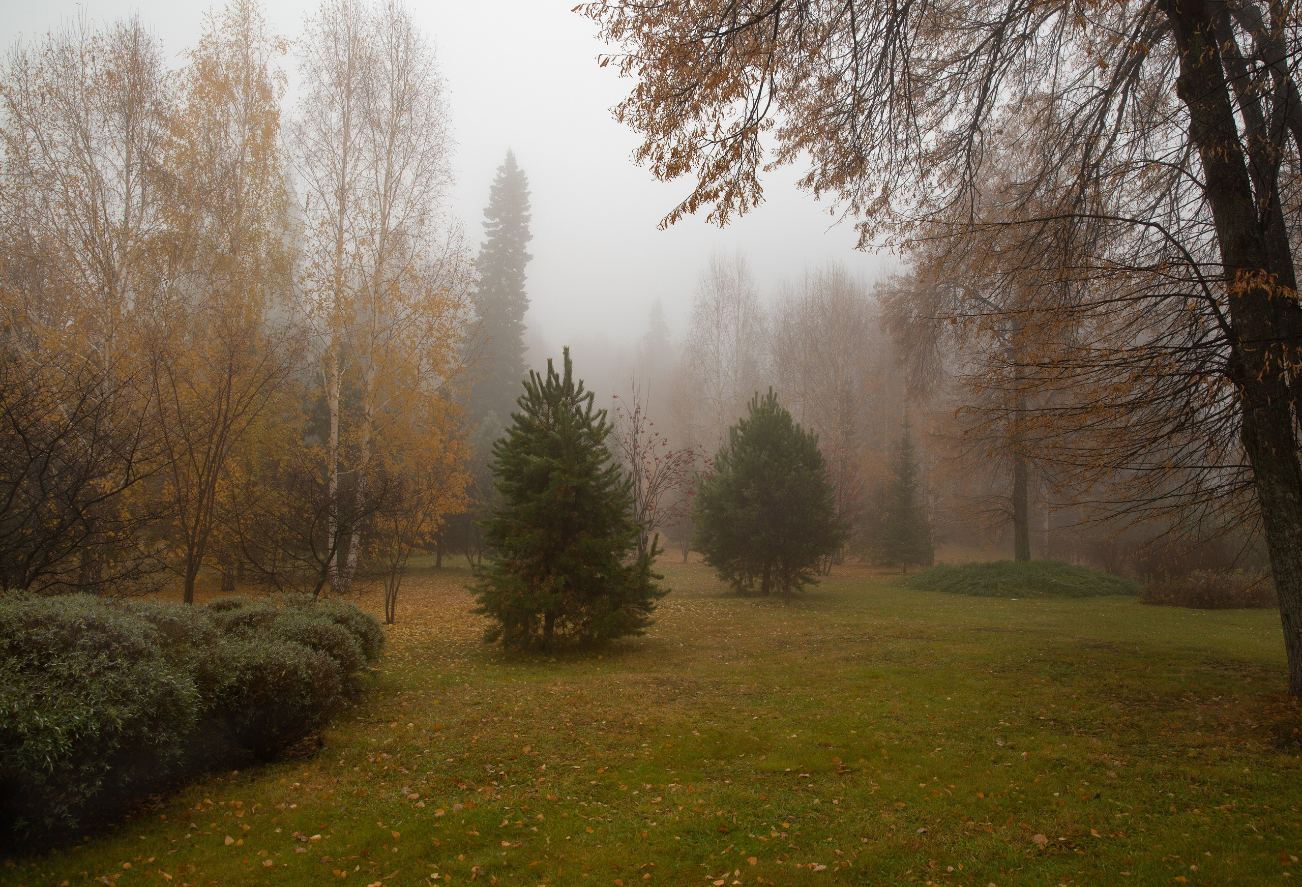 Тобольск. Мой фотомир