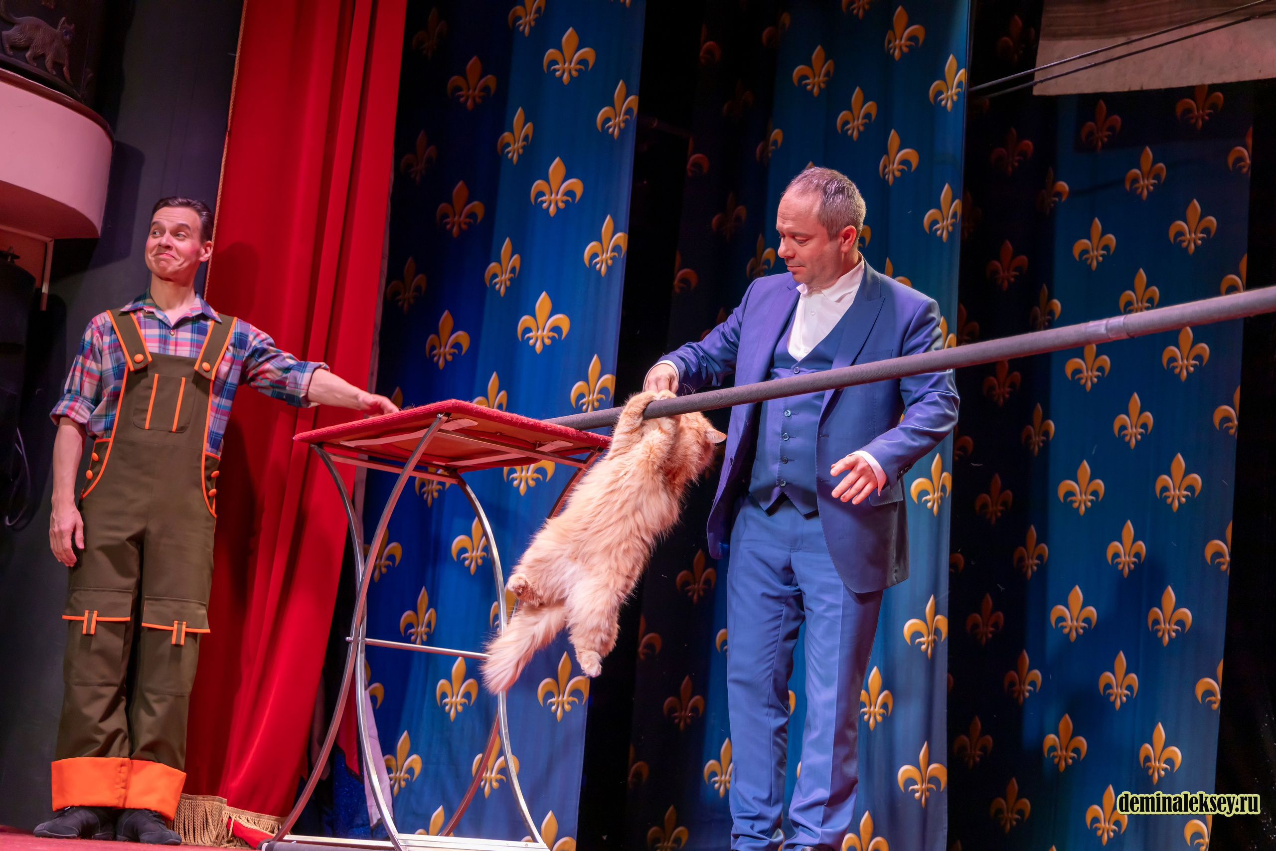 Театр кошек Куклачева 26 февраля 2025. Репортажный, семейный и студийный фотограф в Москве Демин Алексей