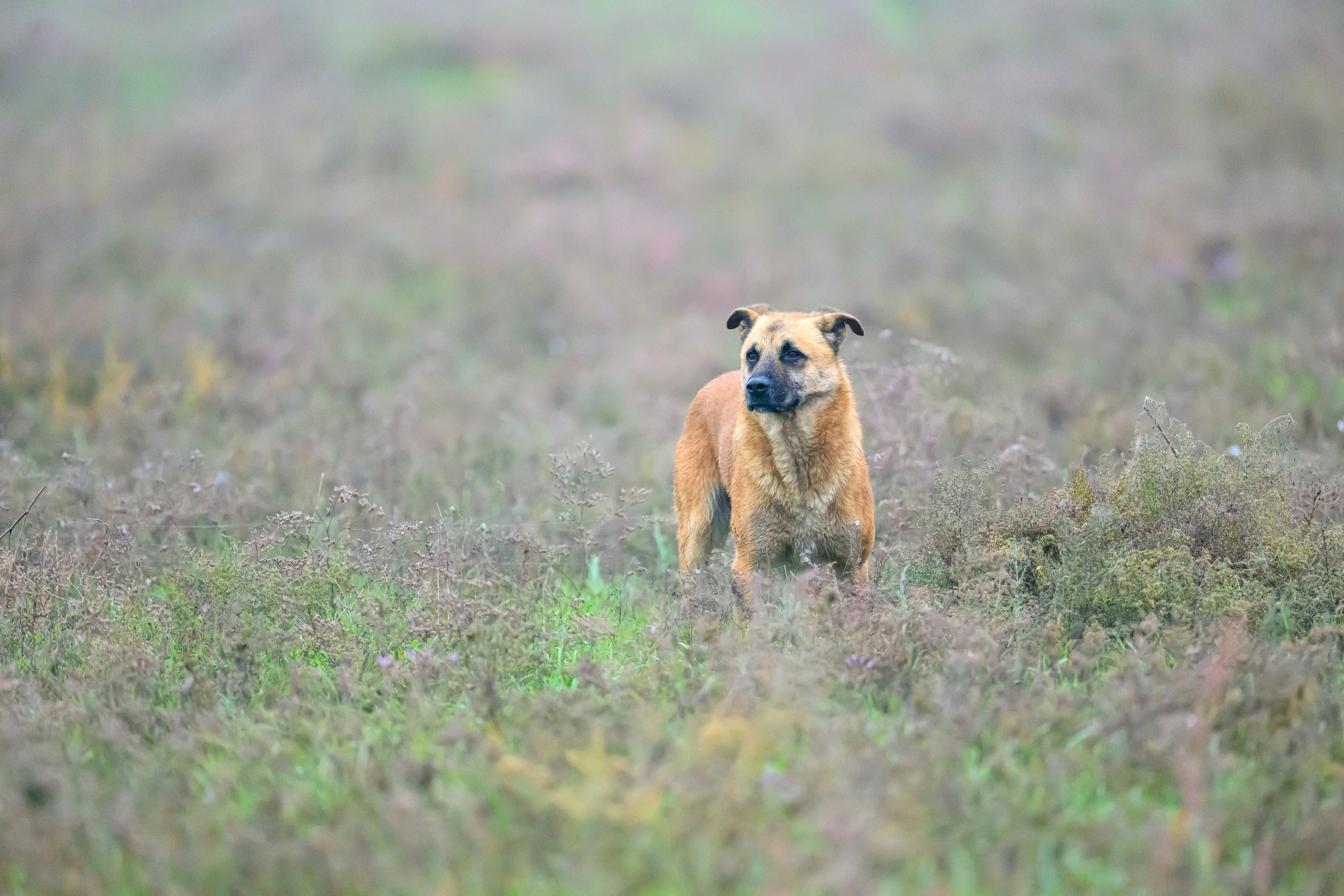 Дагестан. Ноябрь 2025. Фотограф Сергей Пупонин