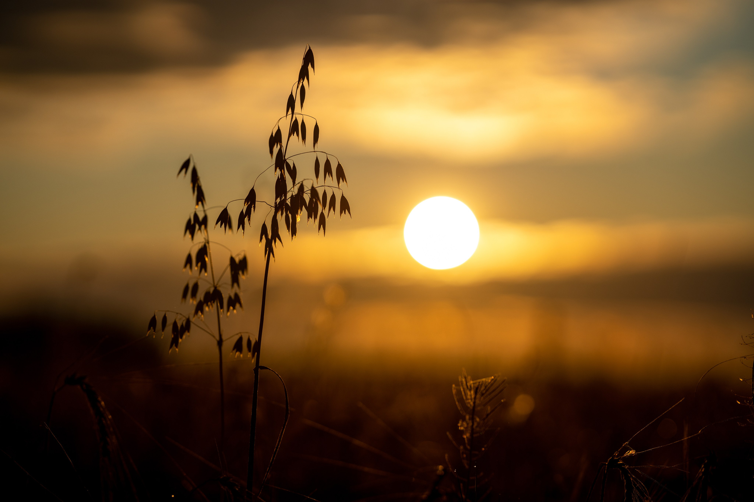 Природные пейзажи. Наталия Клевинскас портретный фотограф в Костроме