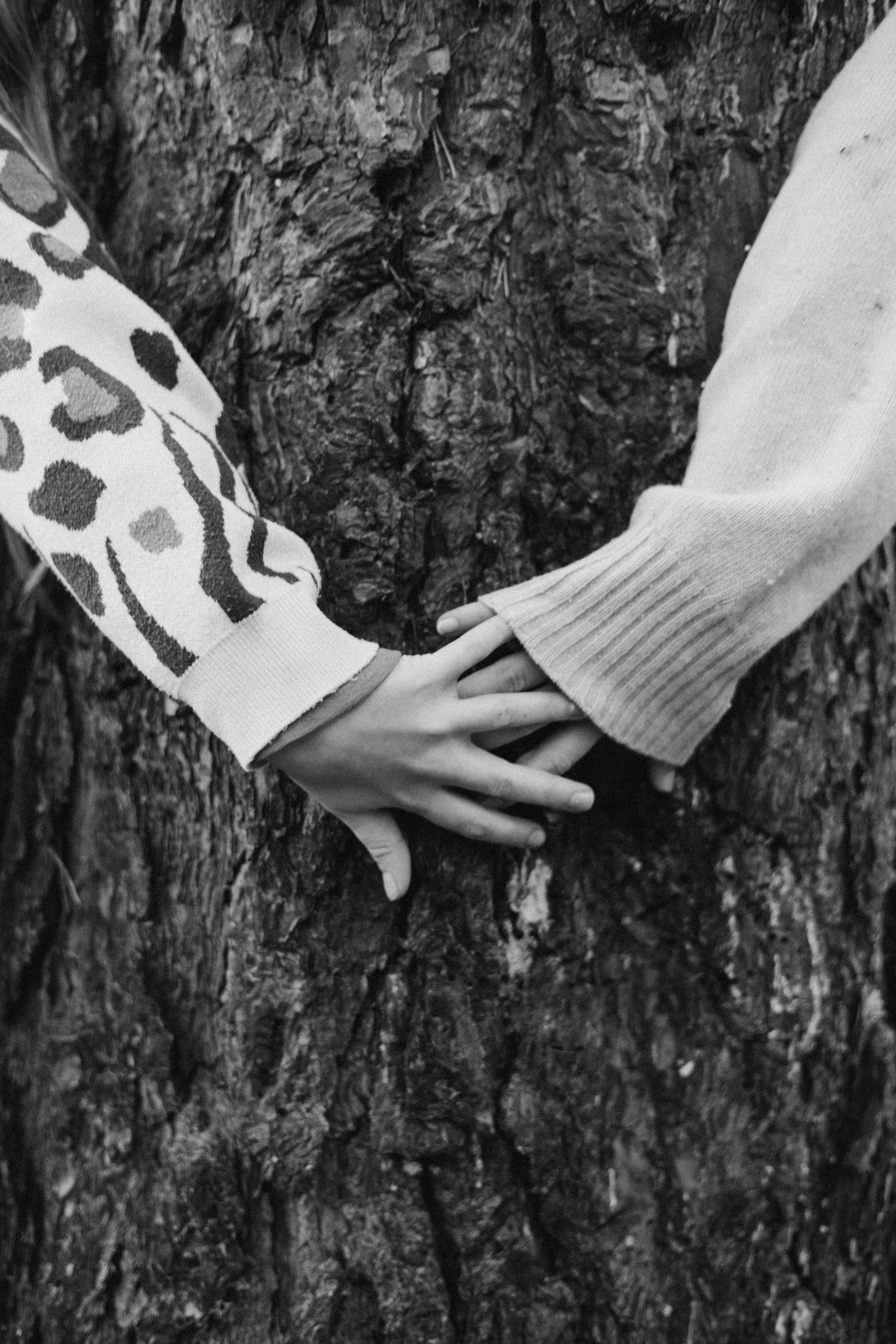 Осенняя прогулка. Фотограф в Москве Наталья Спиридонова