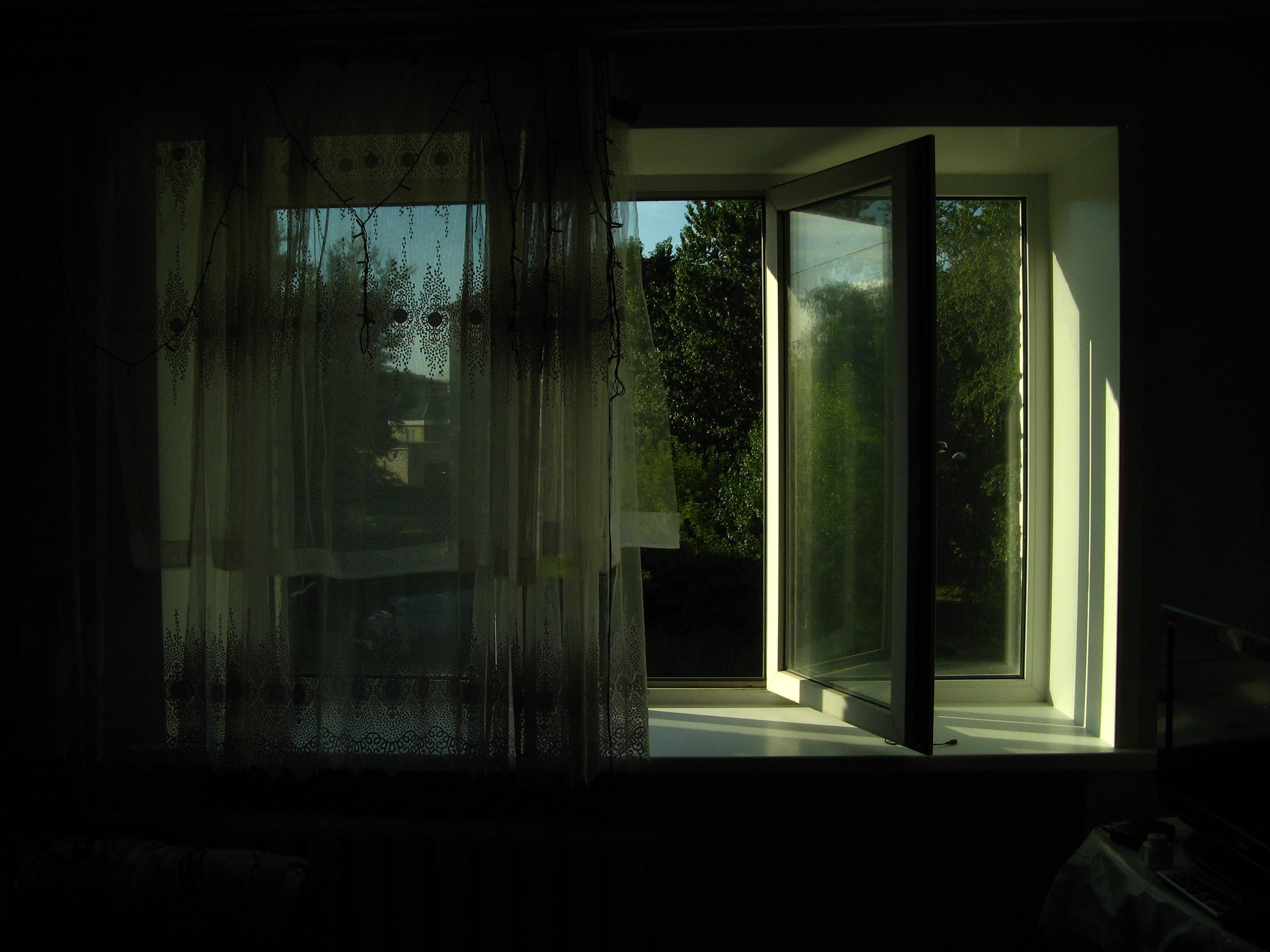 Август 2025. Den Mirov — Фотограф, Музыкант