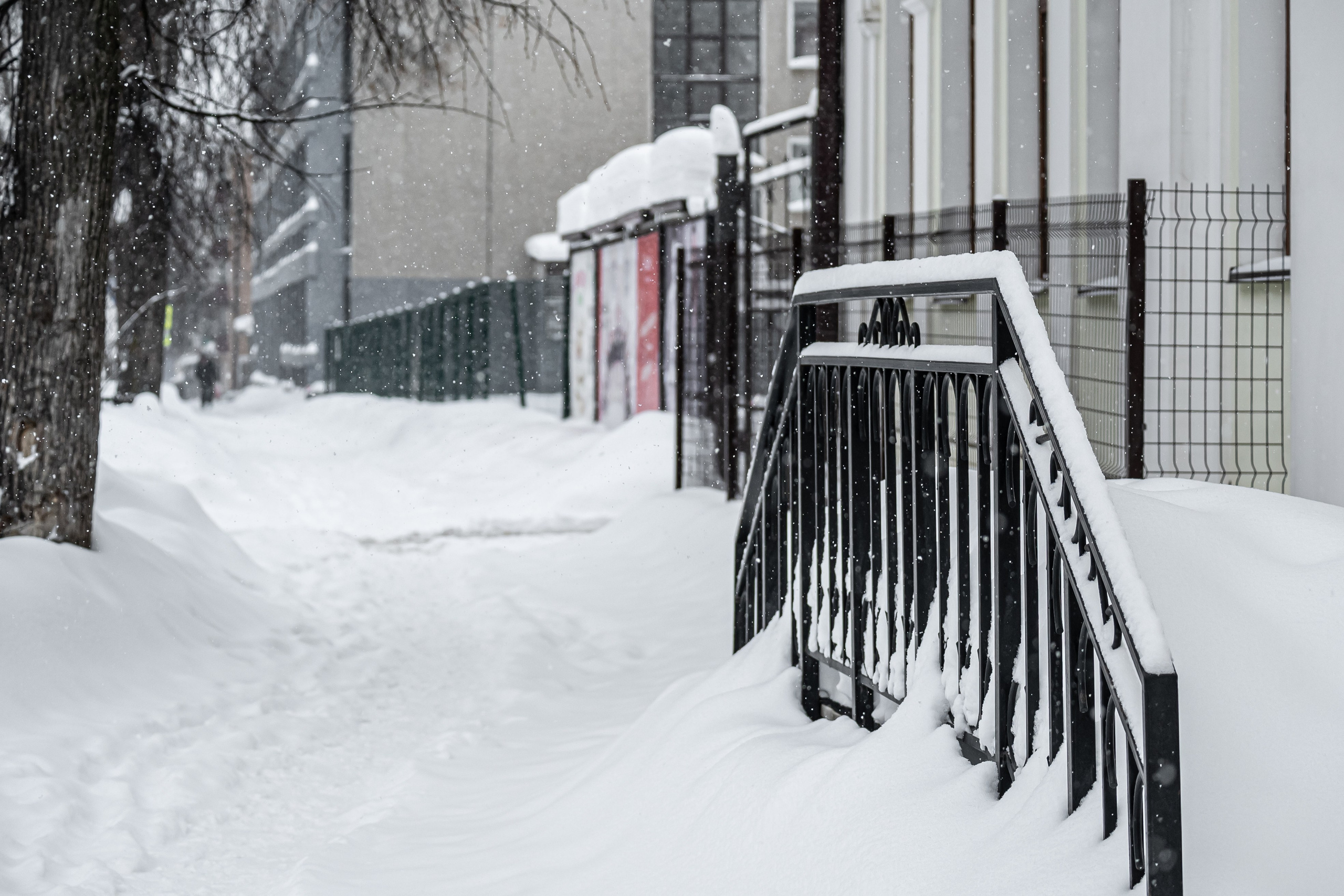 Снегопад. Репортажный фотограф