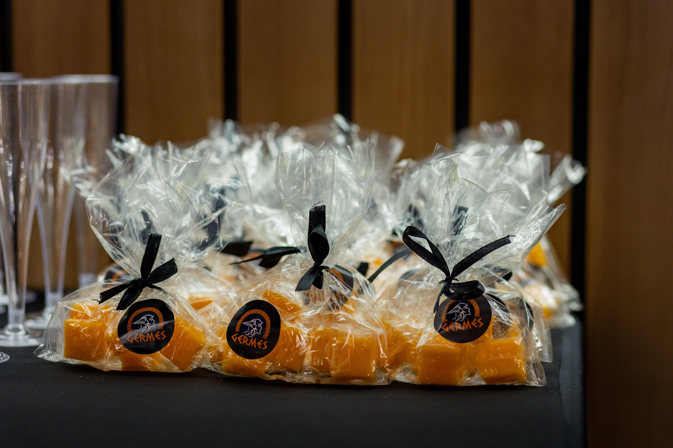 Germes Club. Фотограф и видеограф в Москве Ирина Фомочкина