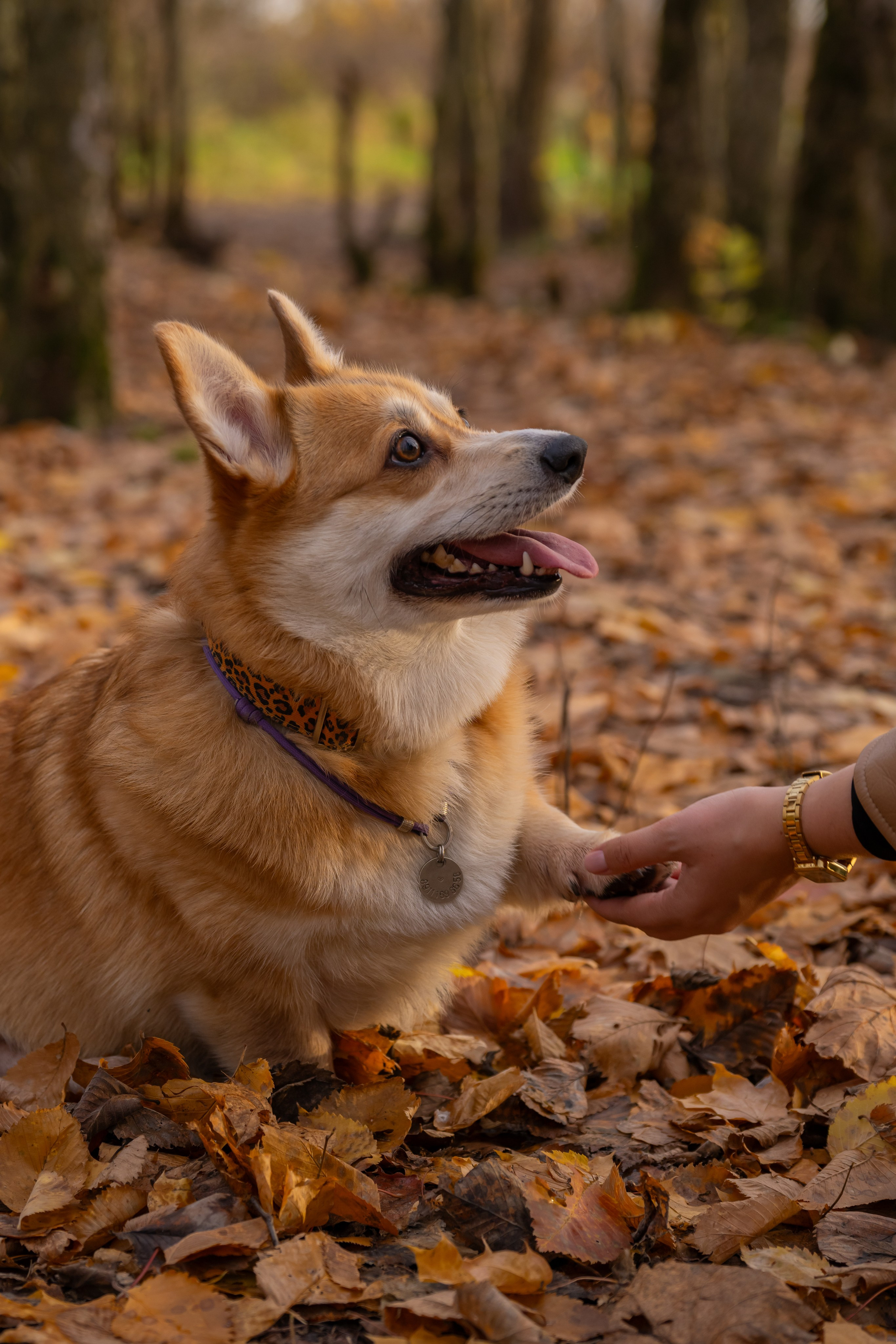 Фотограф в Санкт-Петербурге Александра Ладыгина