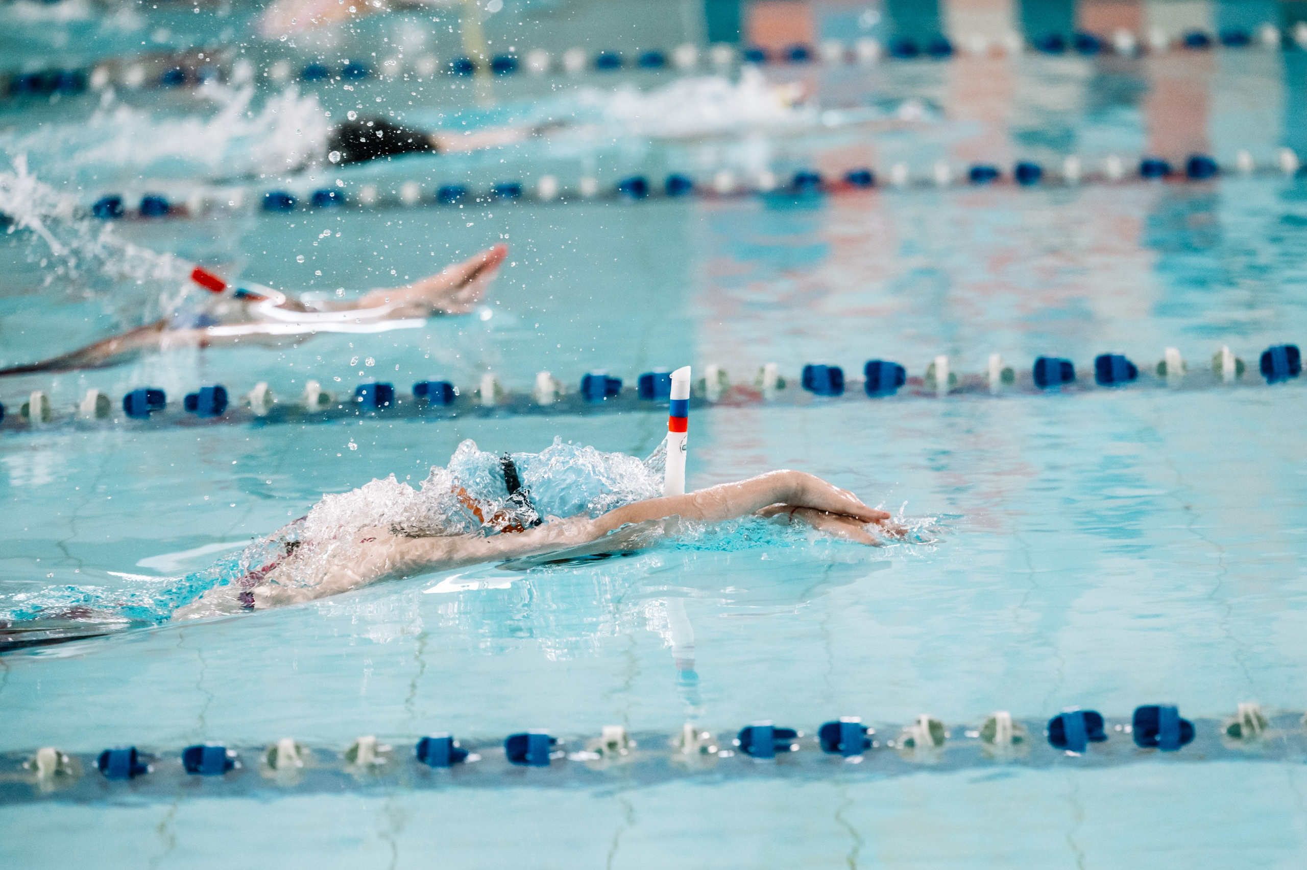 Финал кубка плавания ШП Дельфин. Июнь, 2025. Спортивный фотограф в Туле и Тульской области. Файсханова Фото Спорт